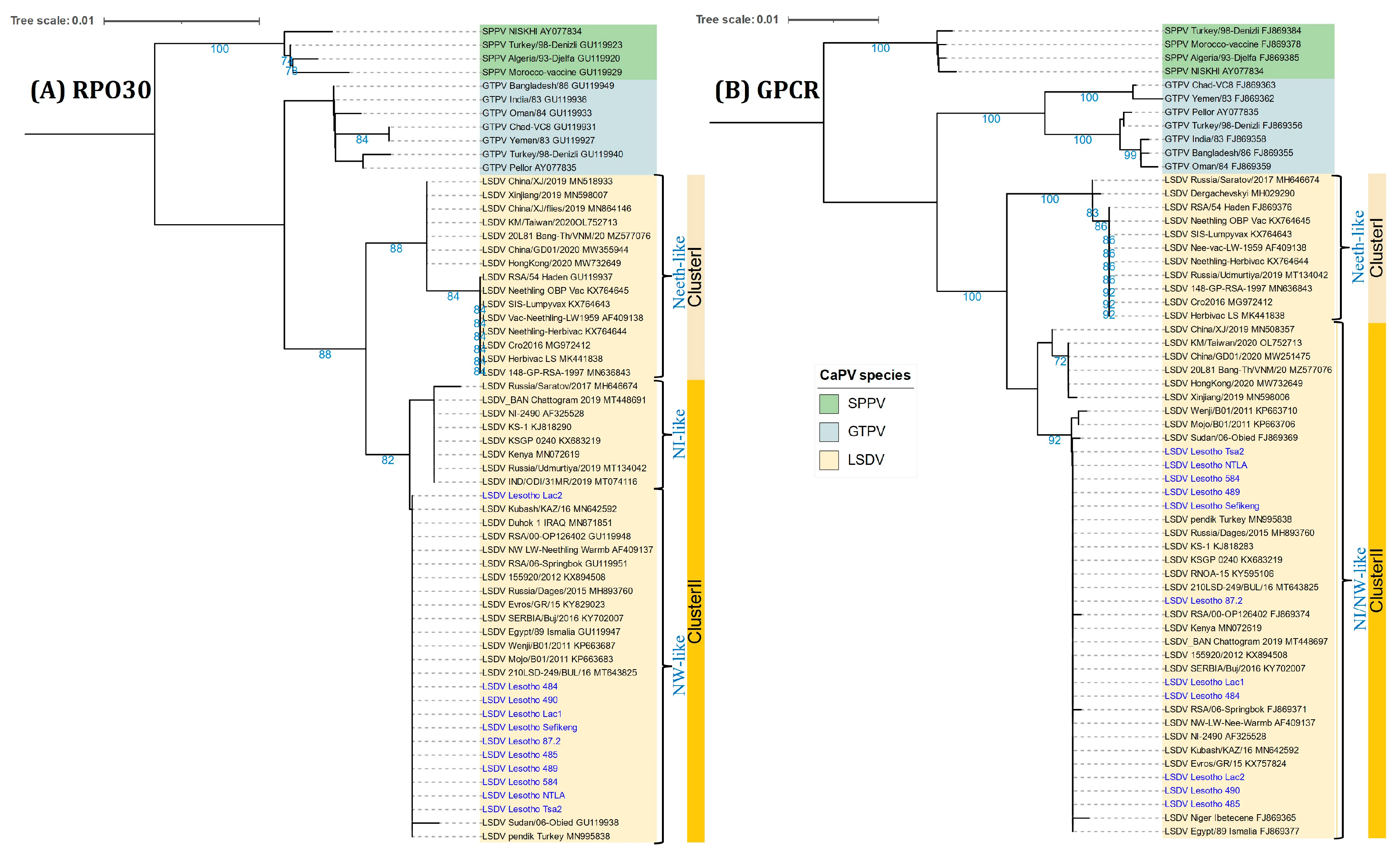 Viruses 16 00762 g003 Viruses 16 00762 g003