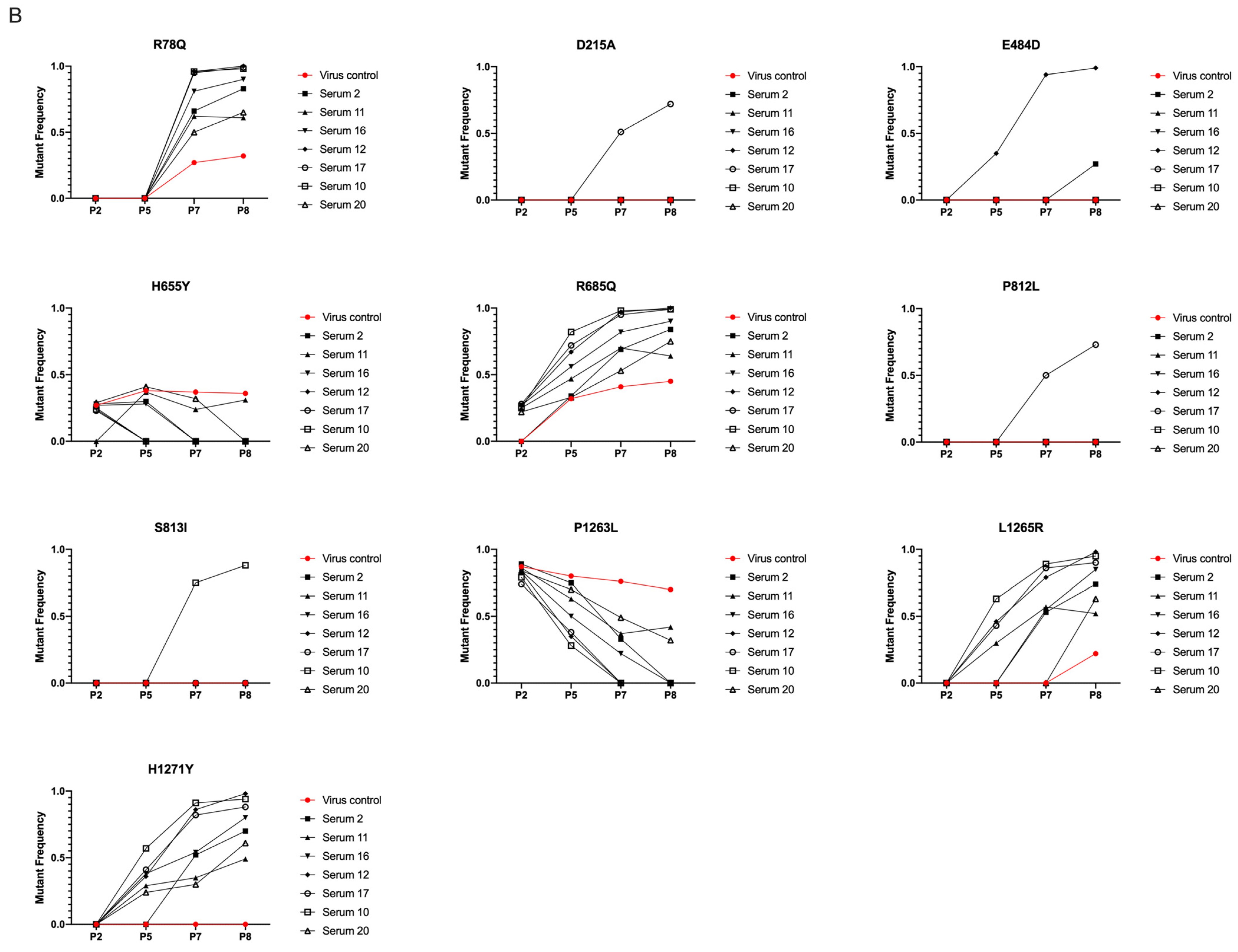 Viruses 16 00763 g001b