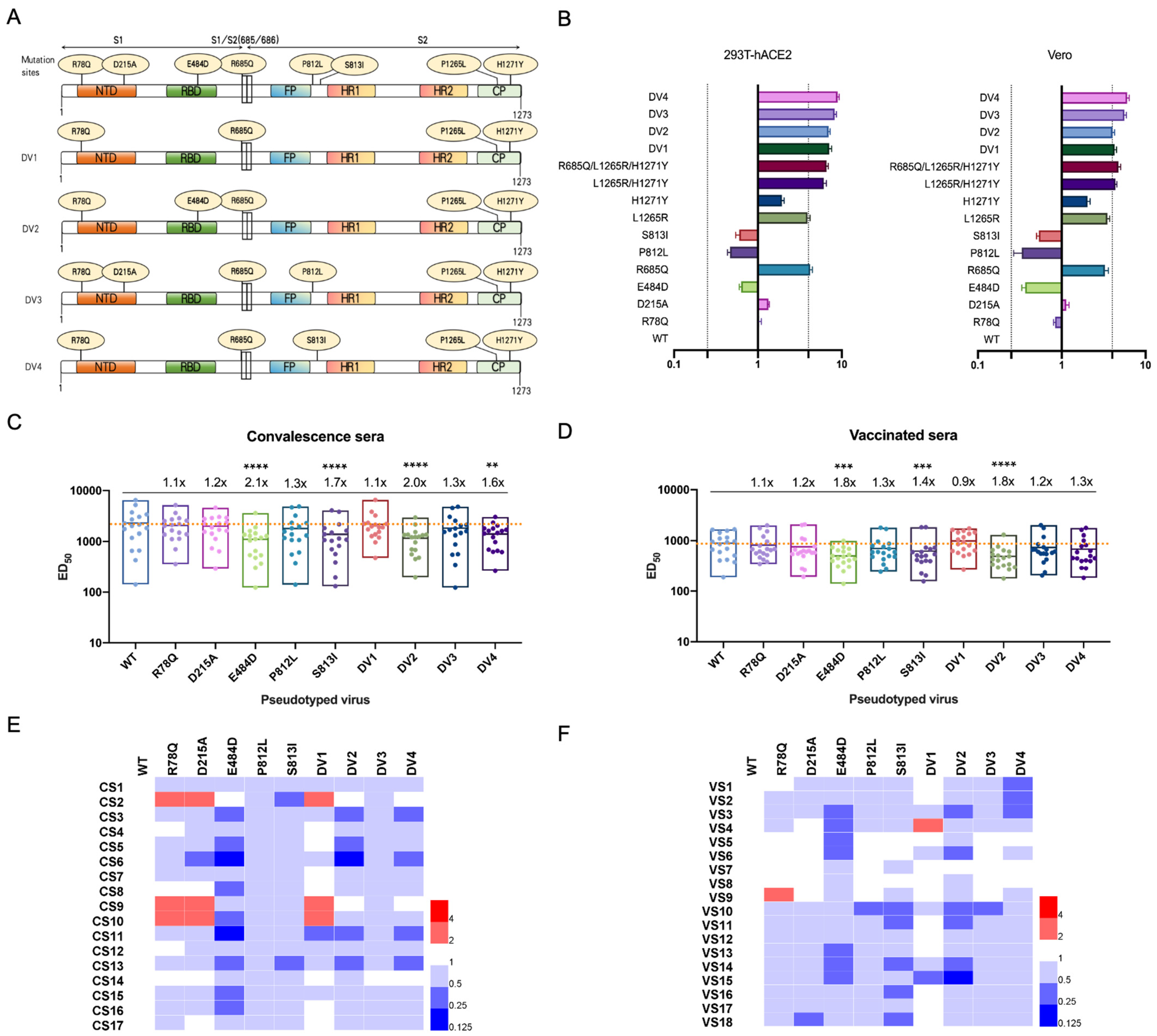Viruses 16 00763 g002