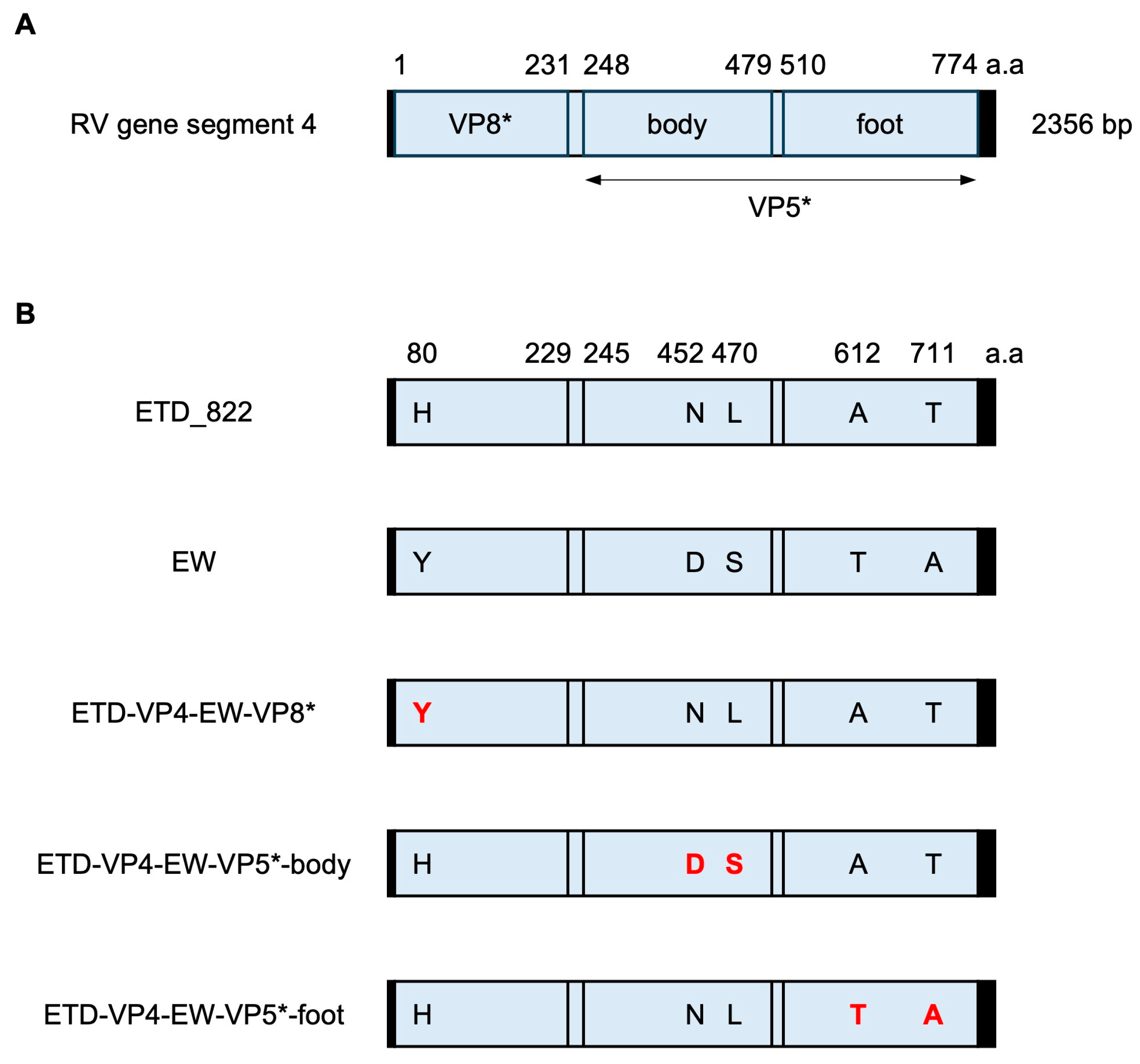 Viruses 16 00767 g001 Viruses 16 00767 g001