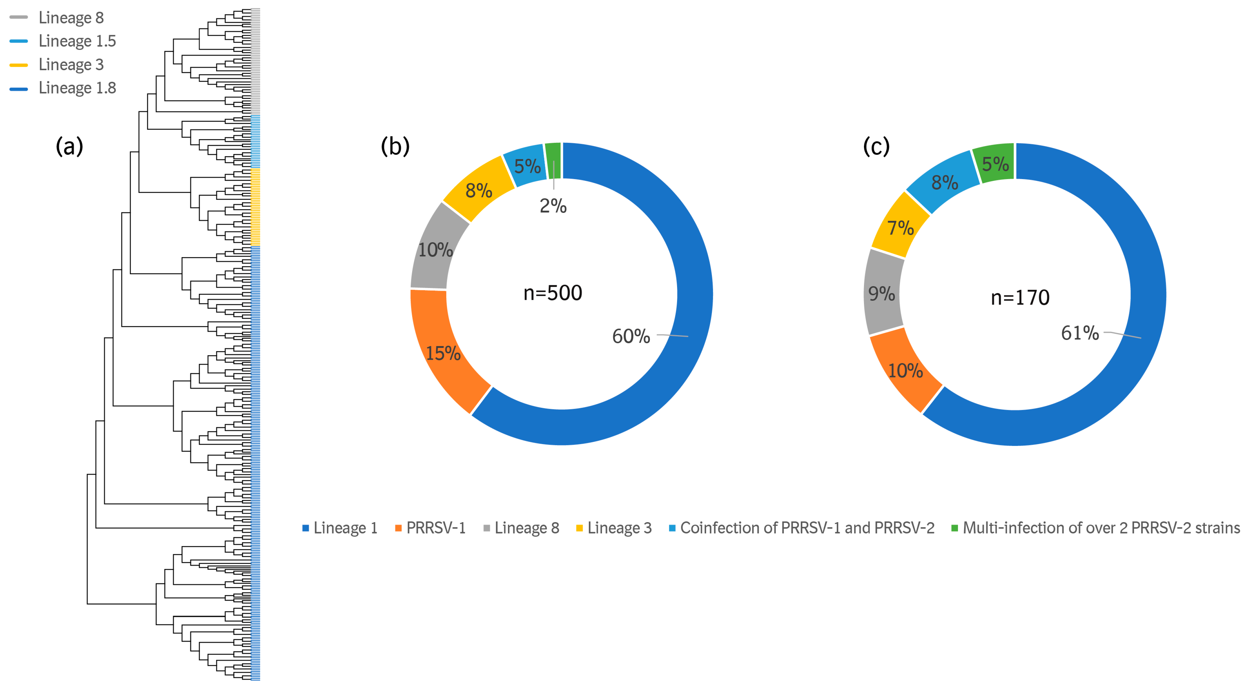 Viruses 16 00774 g006