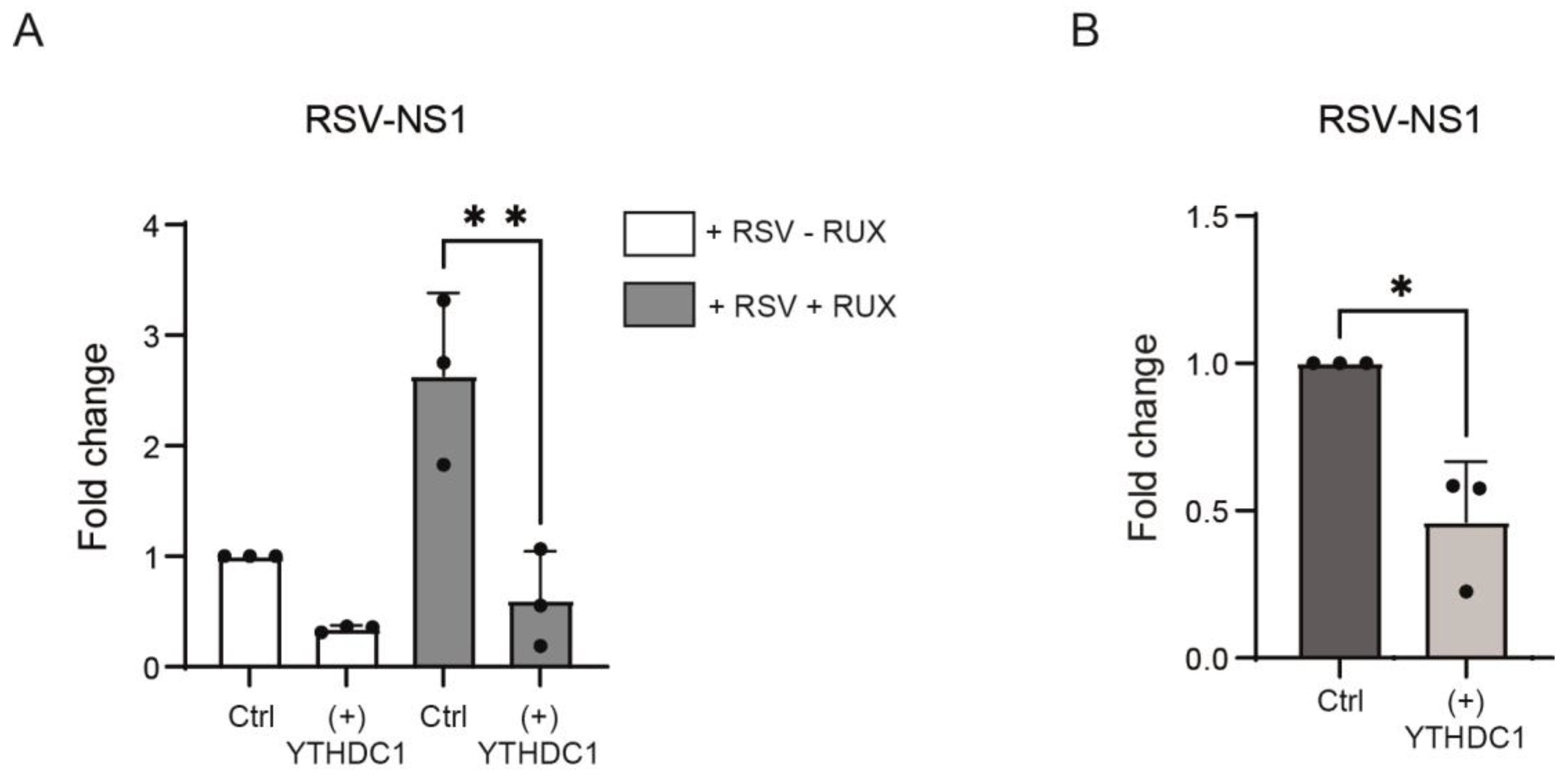 Viruses 16 00778 g003