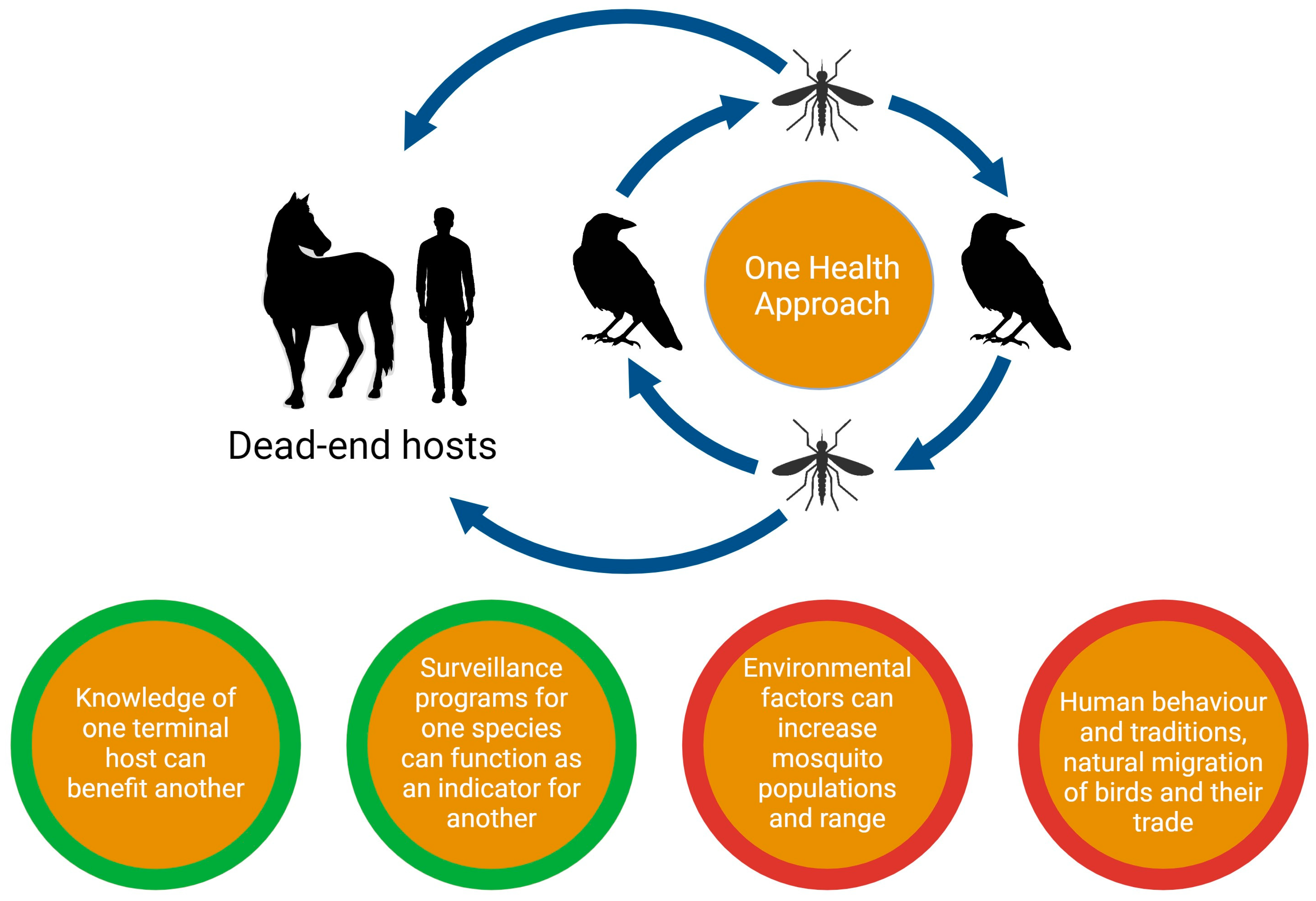 Viruses 16 00781 g001 Viruses 16 00781 g001