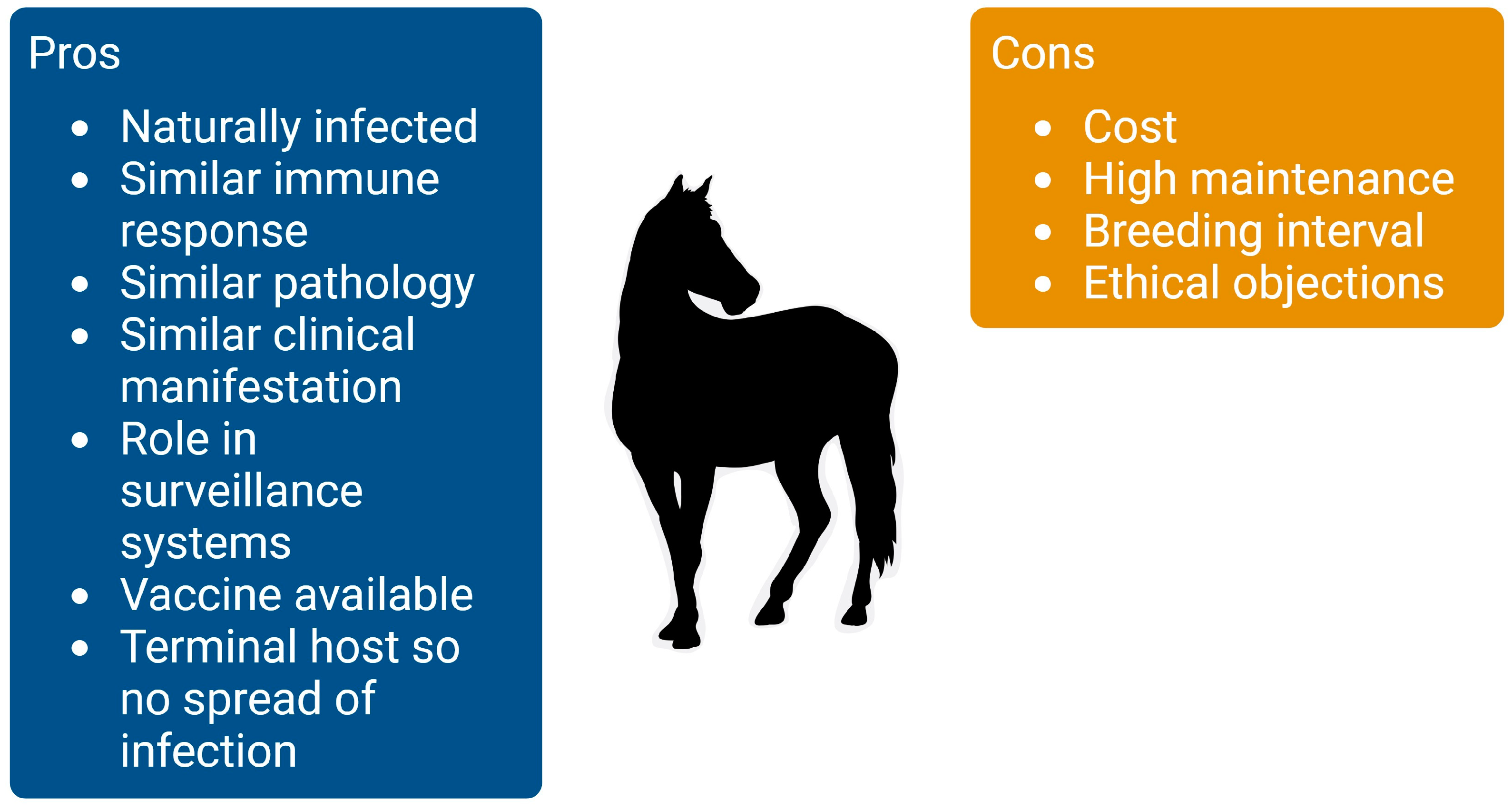 Viruses 16 00781 g002 Viruses 16 00781 g002