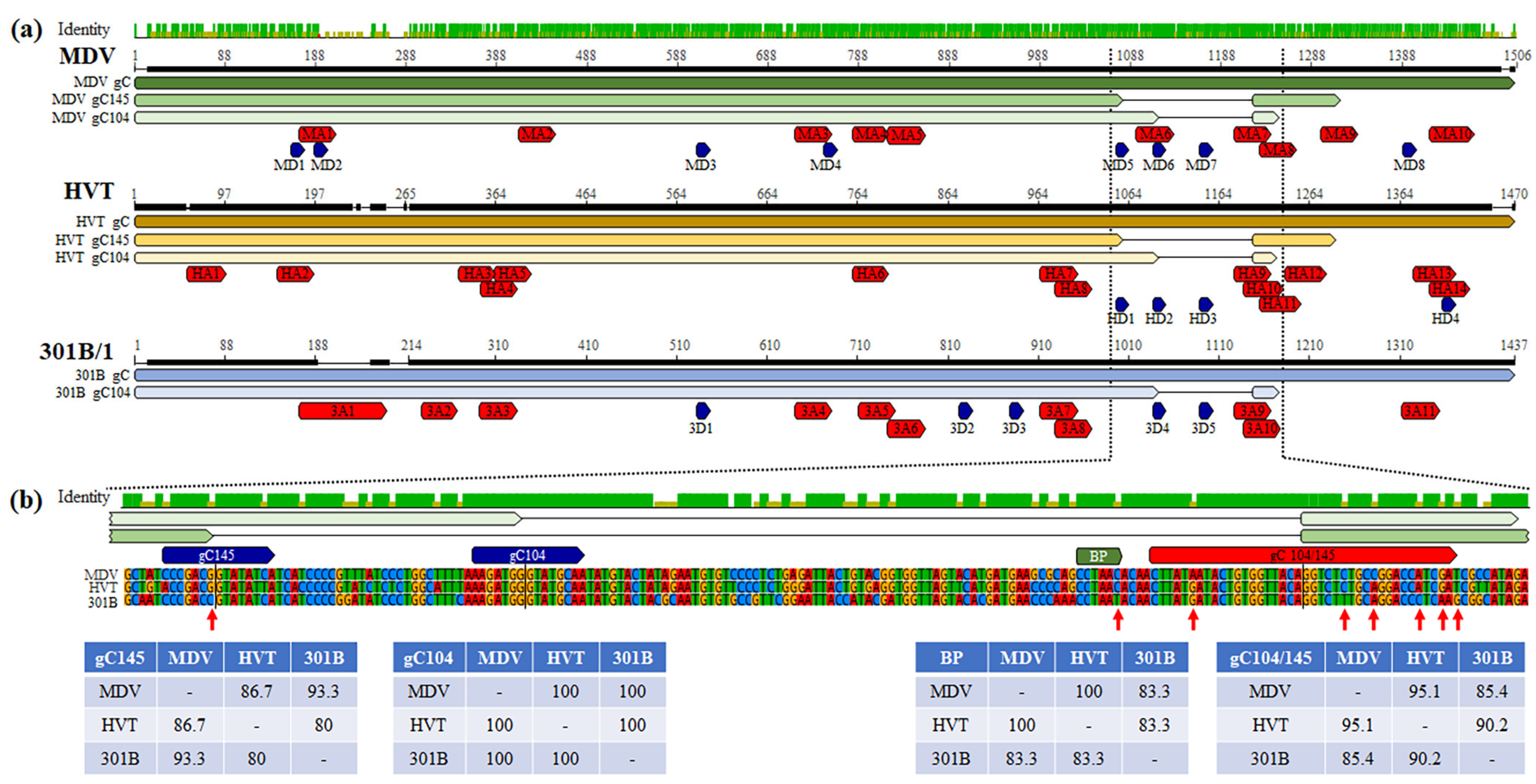 Viruses 16 00782 g004 Viruses 16 00782 g004
