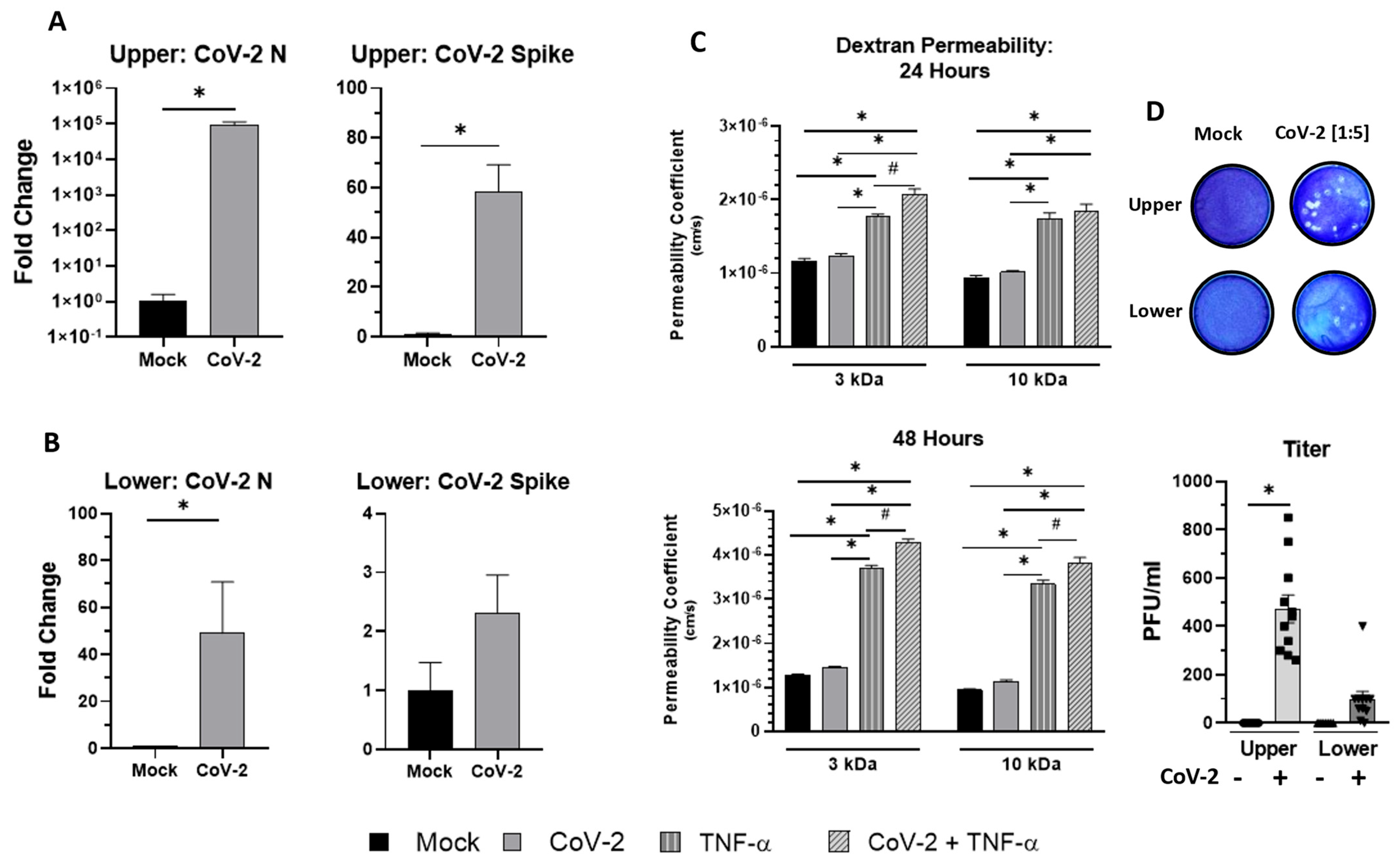 Viruses 16 00785 g004