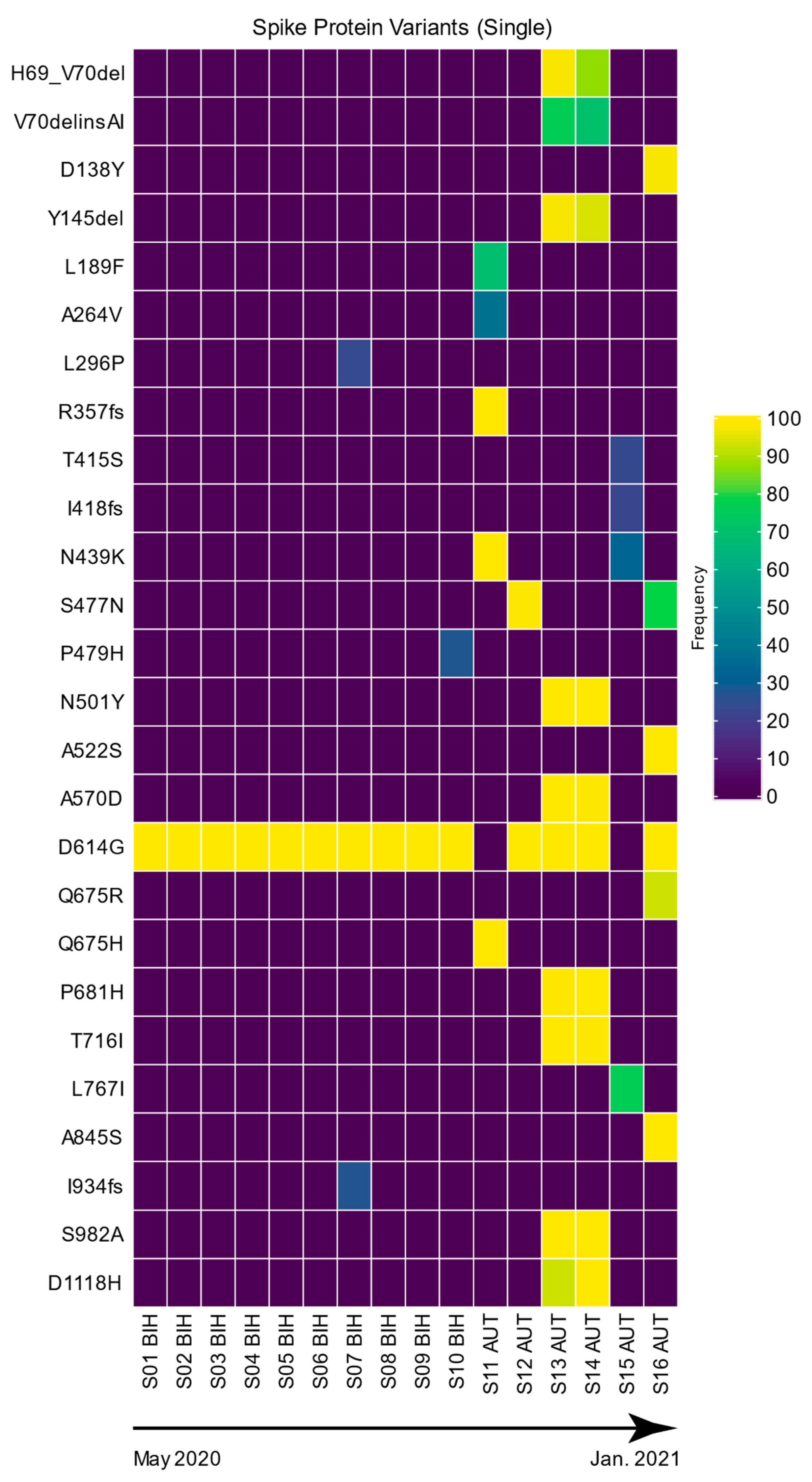 Viruses 16 00786 g001