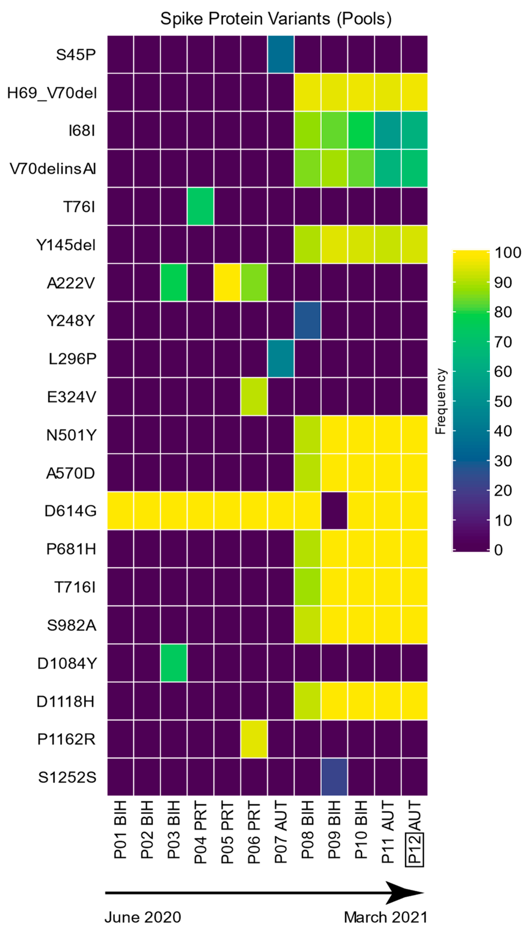 Viruses 16 00786 g002