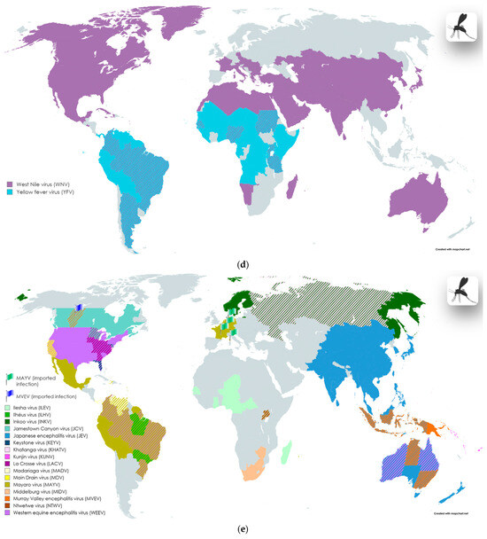 Square the Circle: Diversity of Viral Pathogens Causing Neuro ...