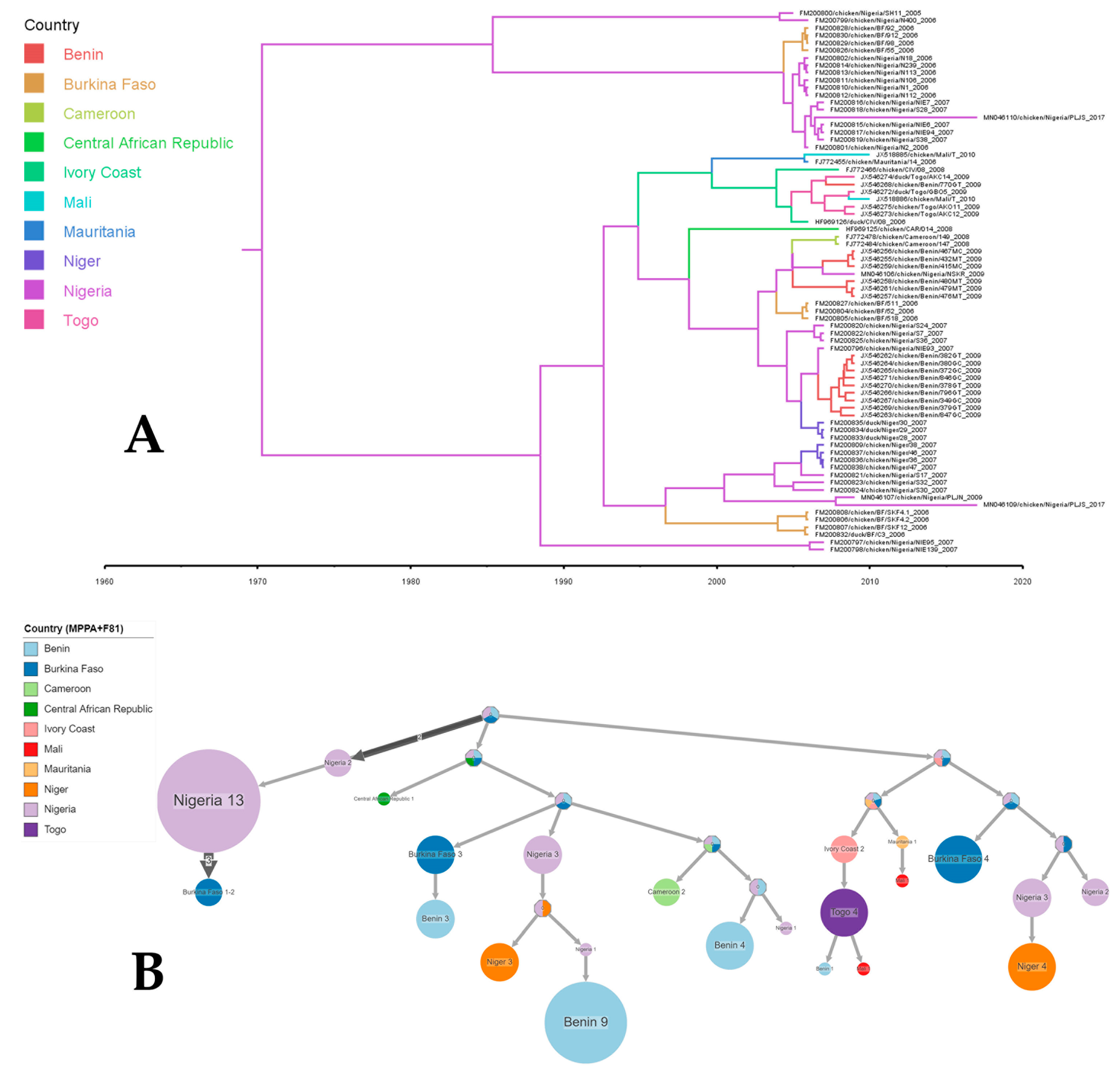 Viruses 16 00795 g003