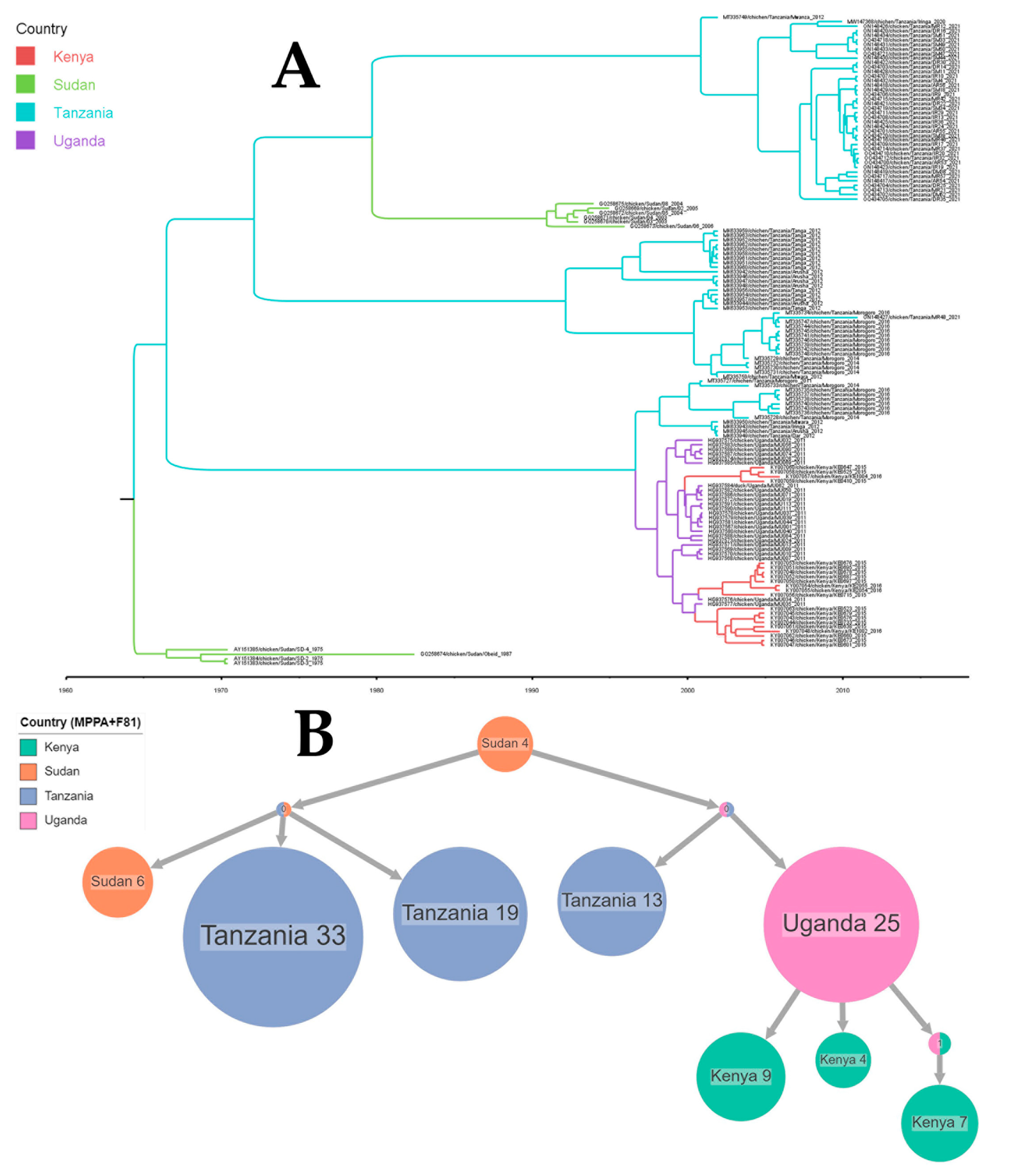 Viruses 16 00795 g004