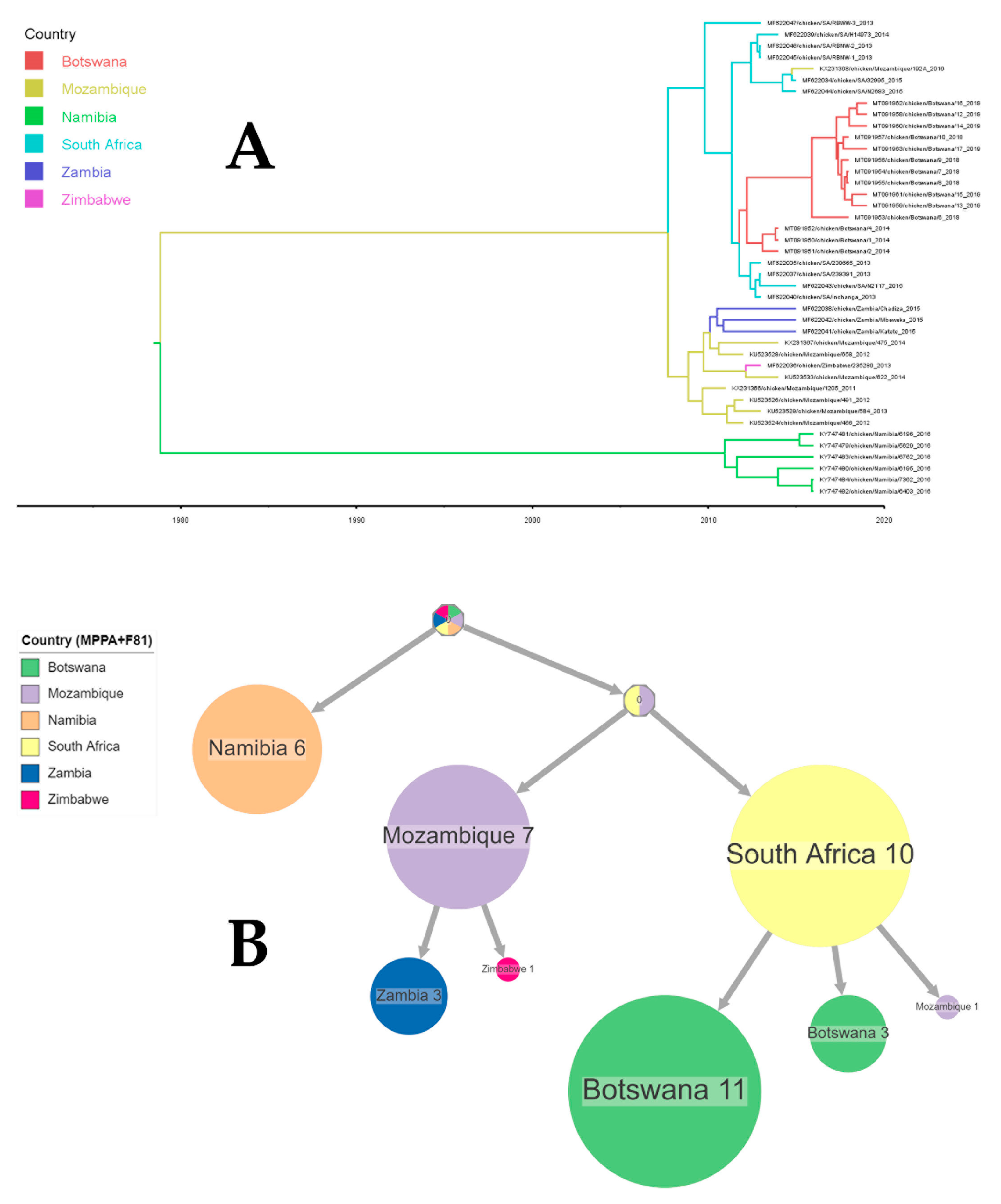 Viruses 16 00795 g005