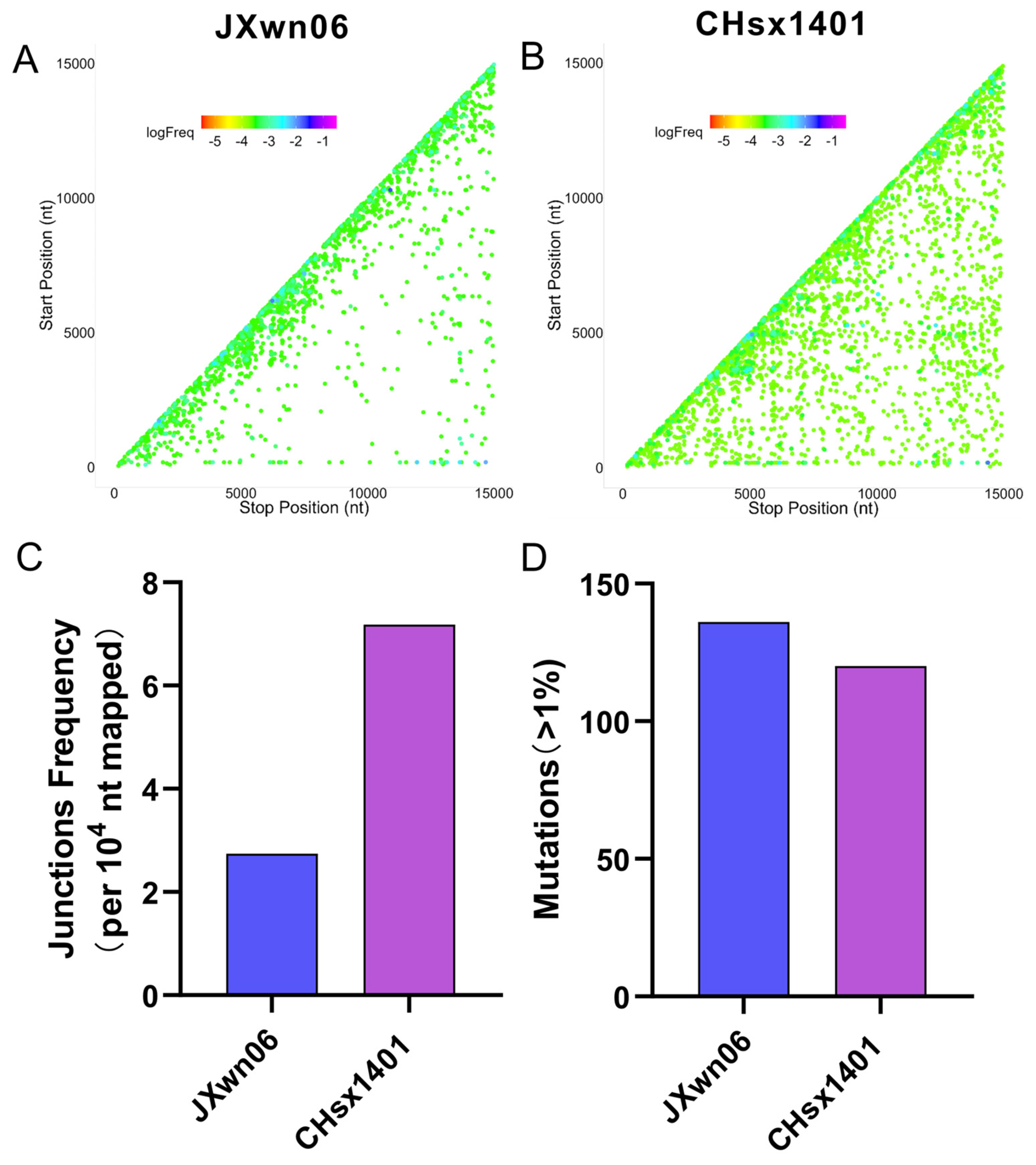 Viruses 16 00797 g001