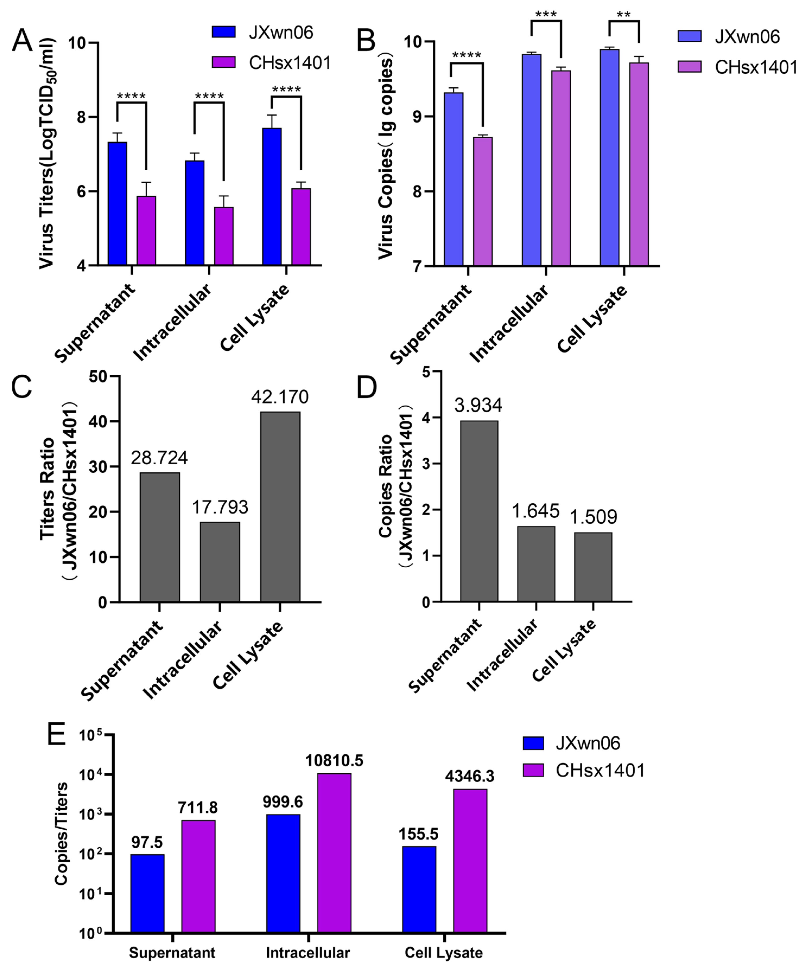 Viruses 16 00797 g002
