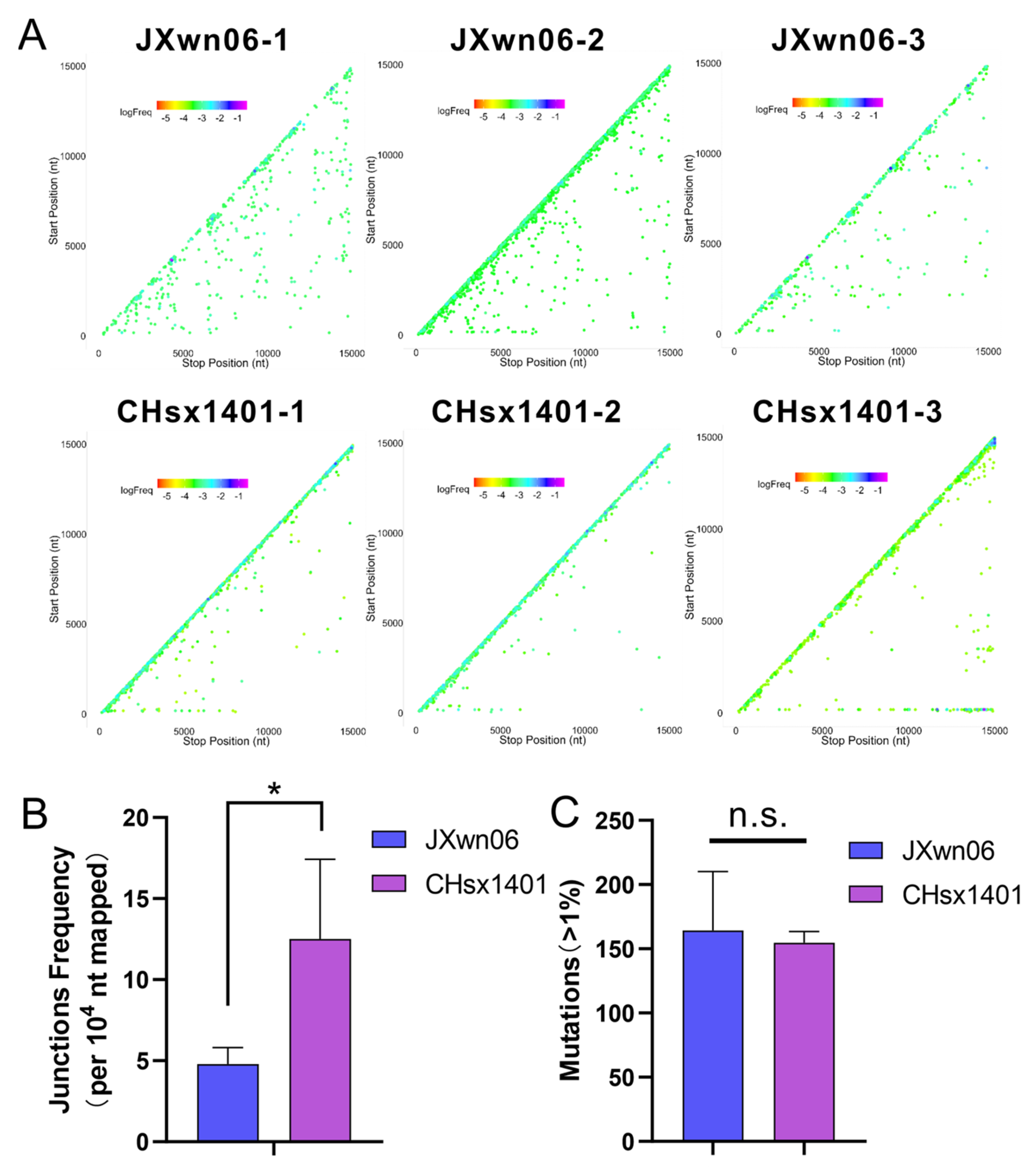 Viruses 16 00797 g003