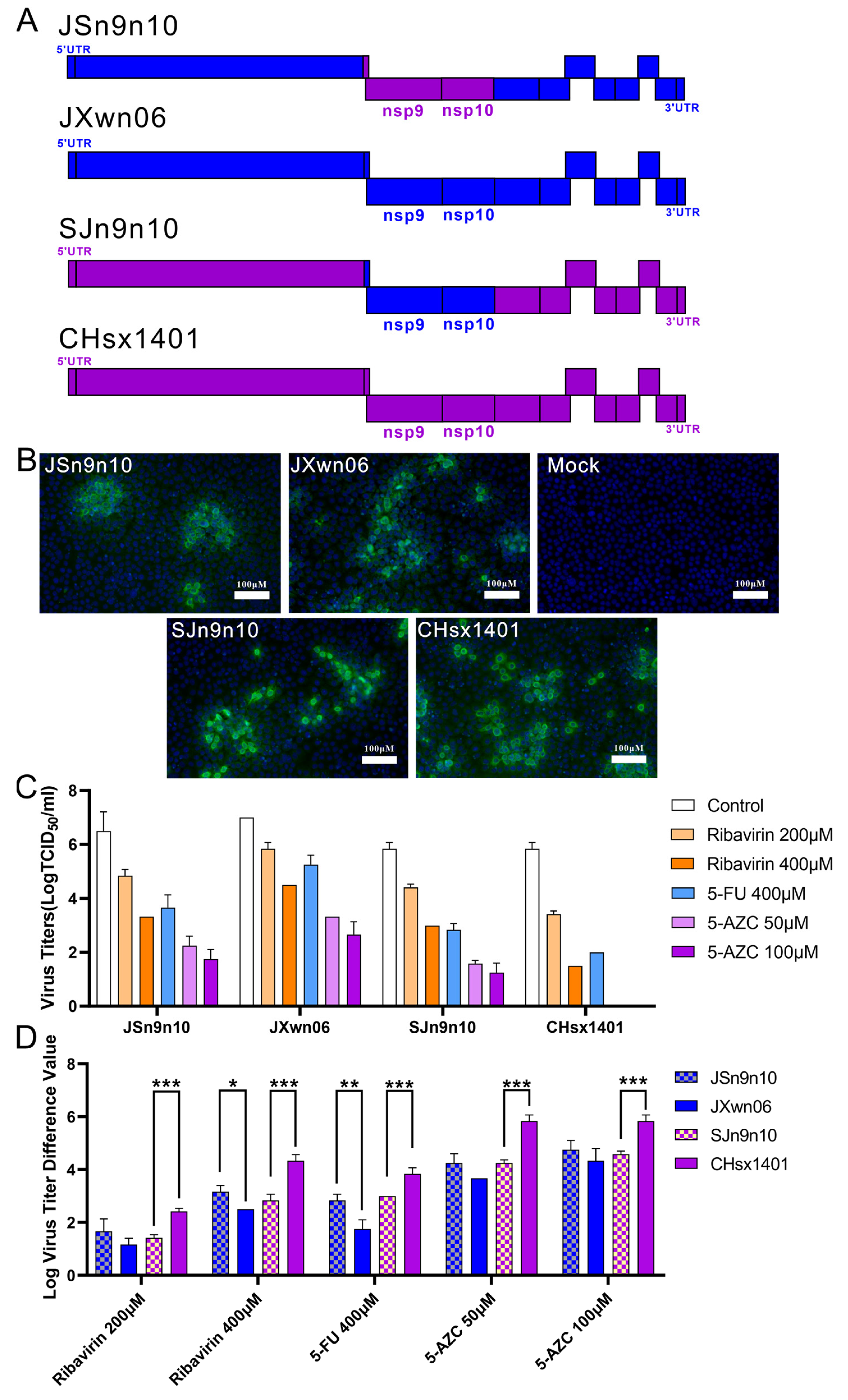Viruses 16 00797 g004