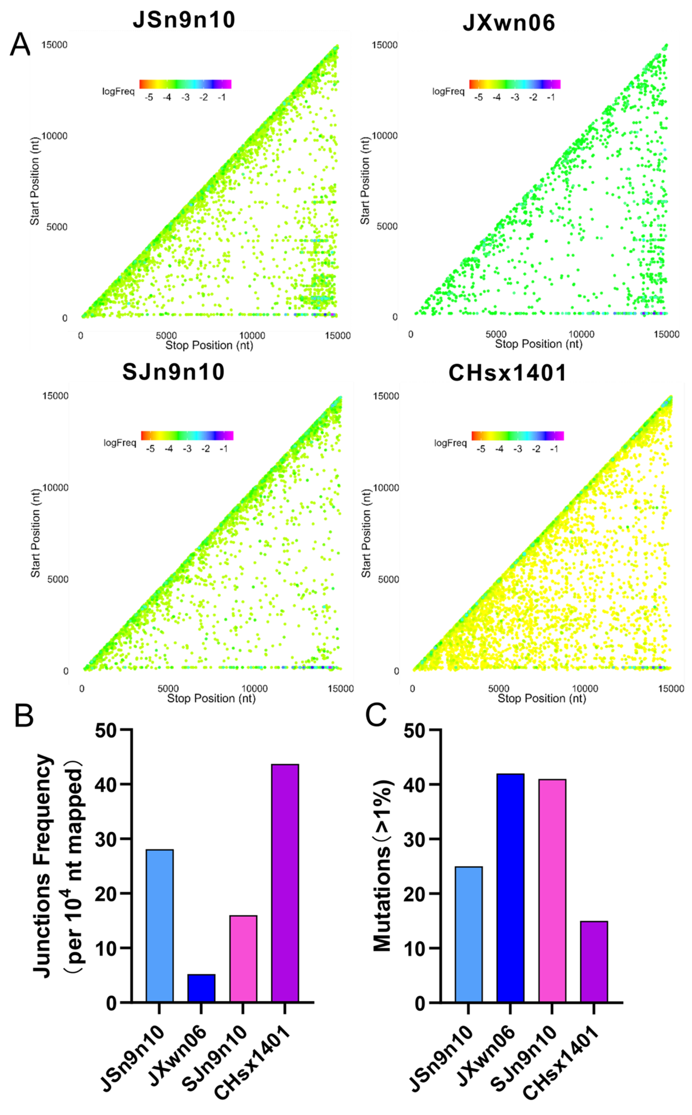 Viruses 16 00797 g005