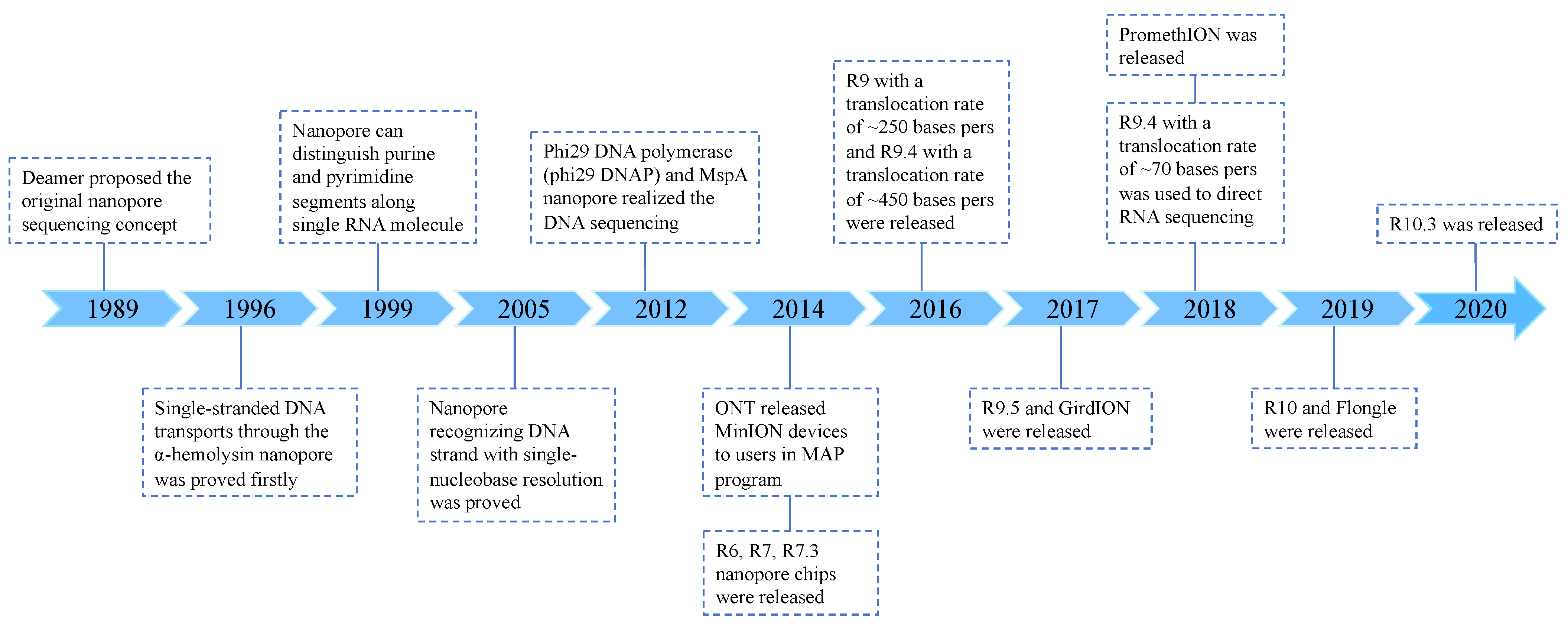 Viruses 16 00798 g001