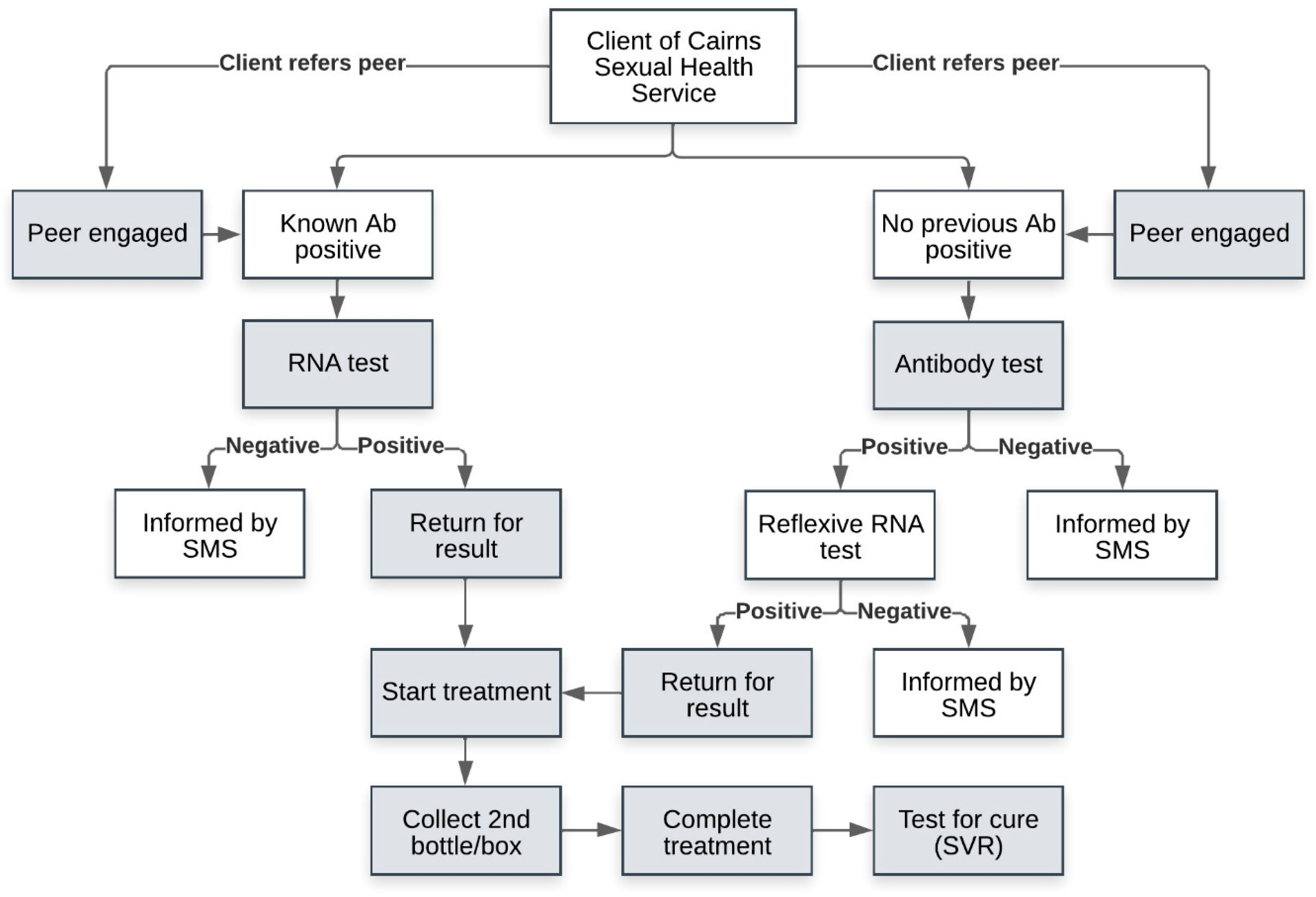 Viruses 16 00800 g001