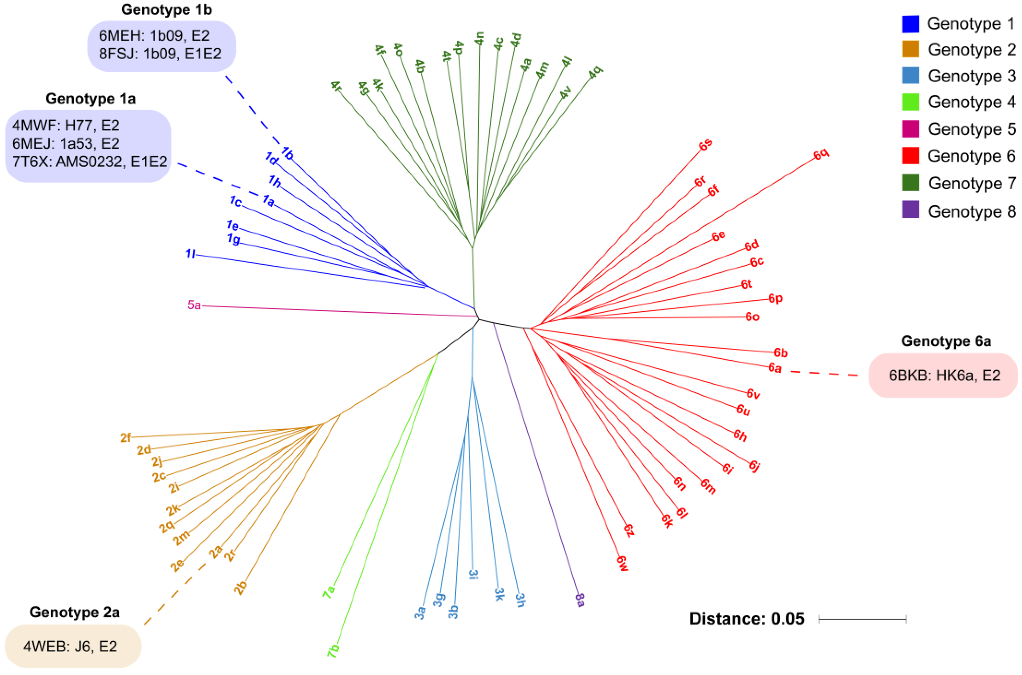 Viruses 16 00803 g001