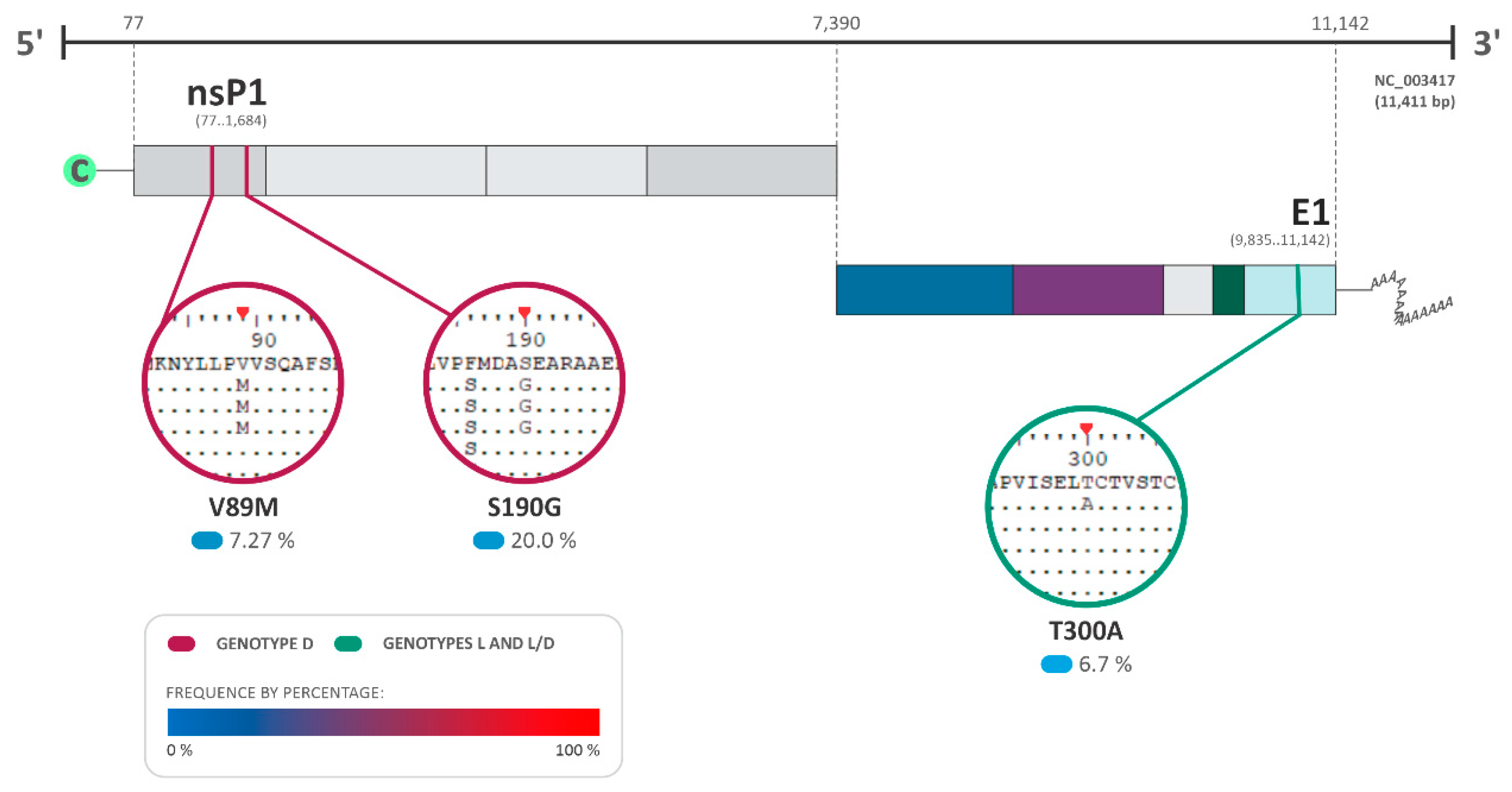 Viruses 16 00809 g006 Viruses 16 00809 g006