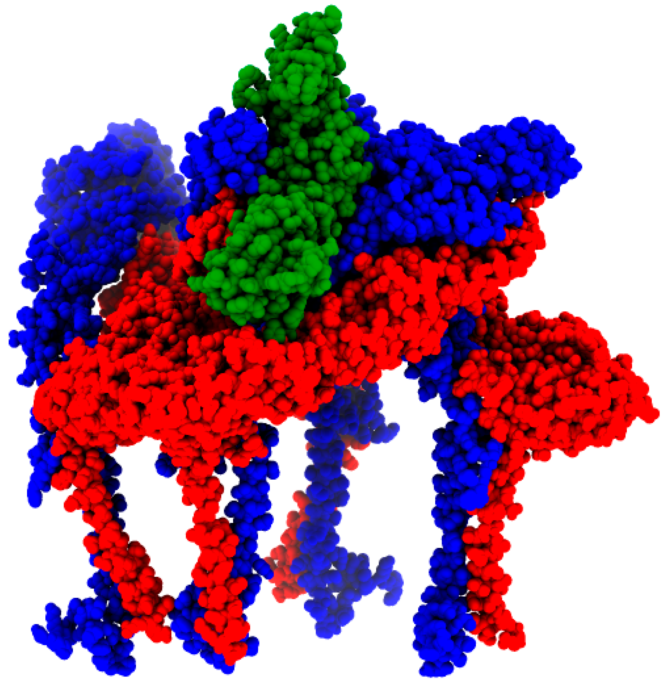 Viruses 16 00809 g008 Viruses 16 00809 g008