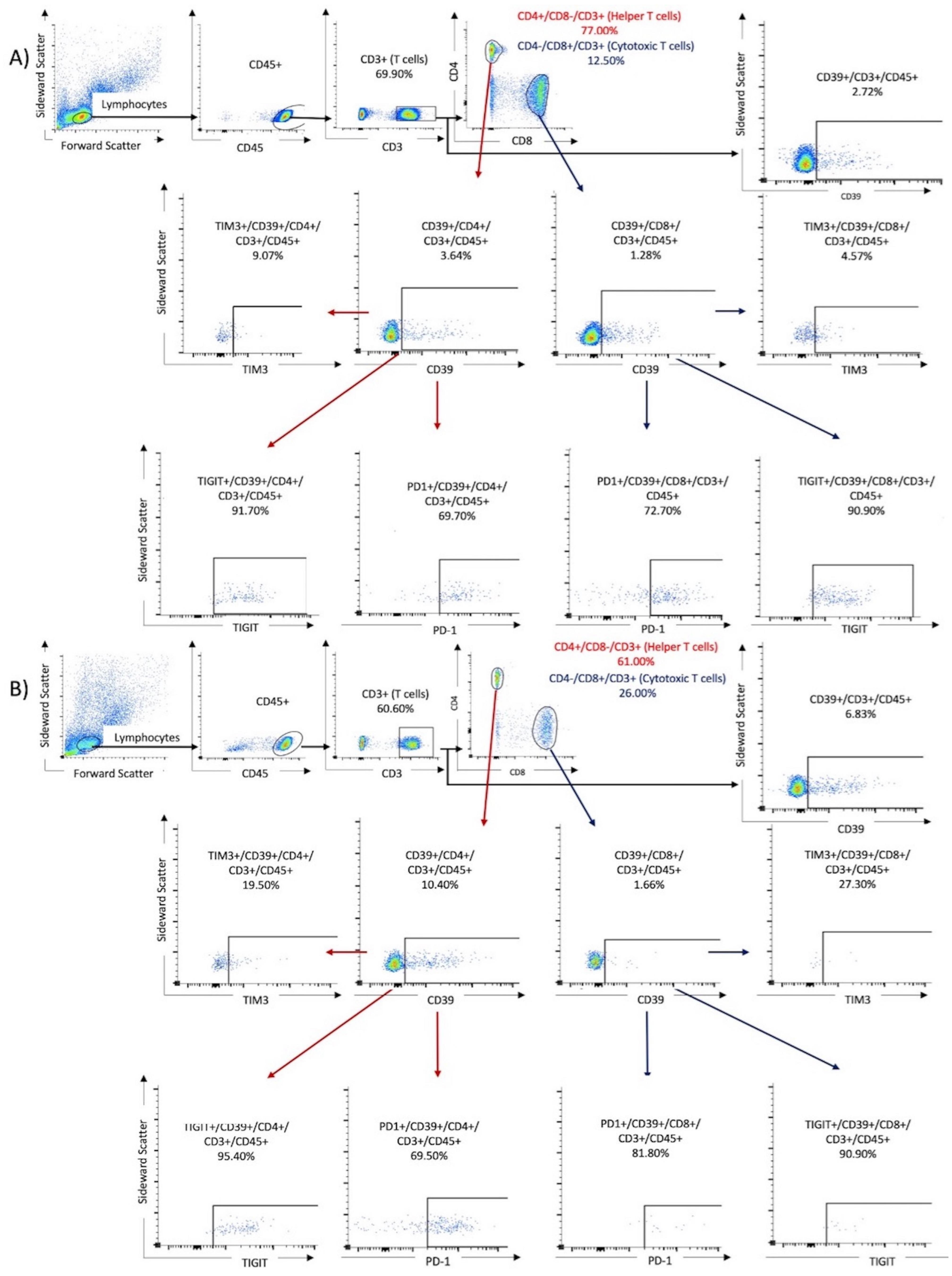 Viruses 16 00810 g001
