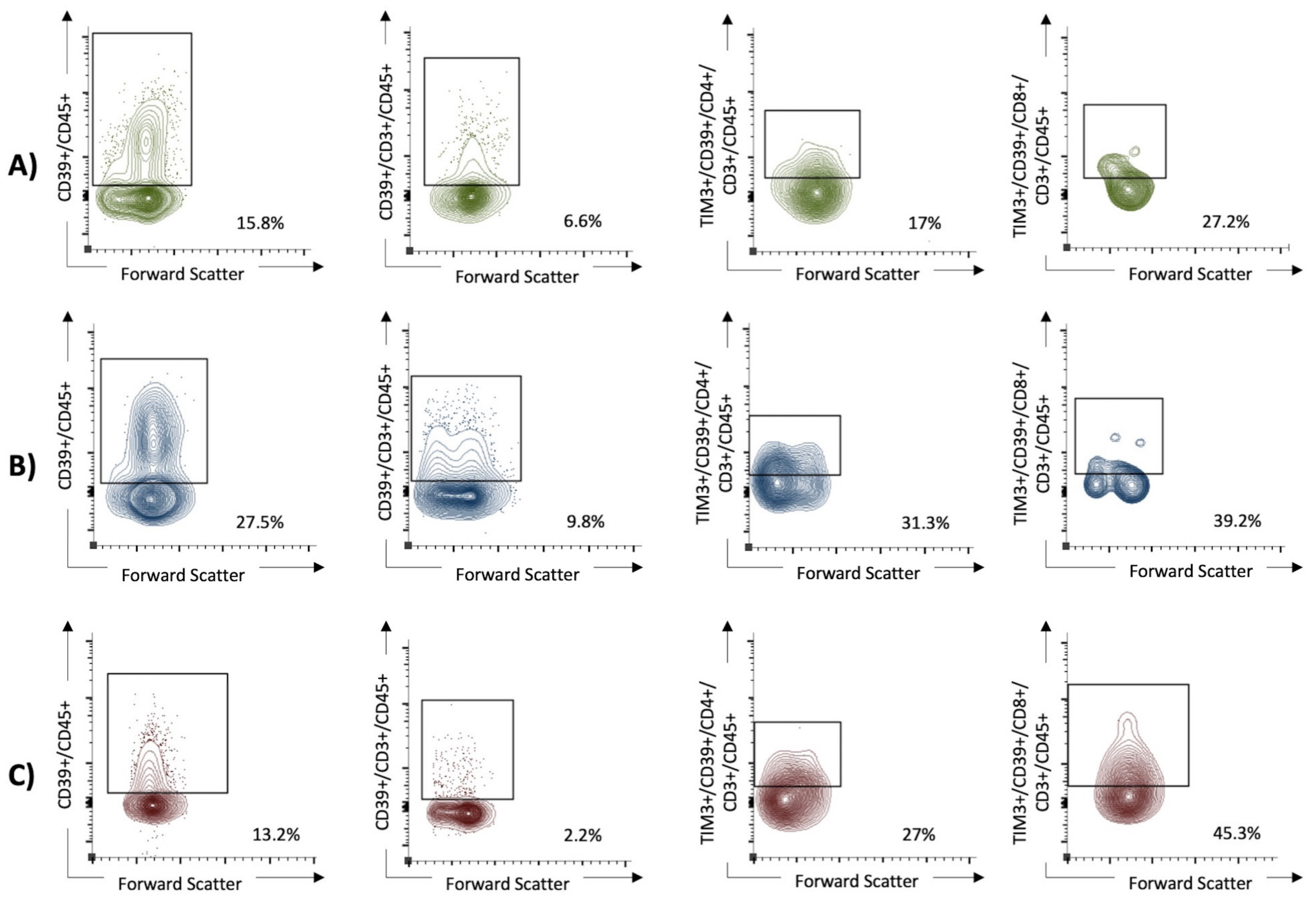 Viruses 16 00810 g003