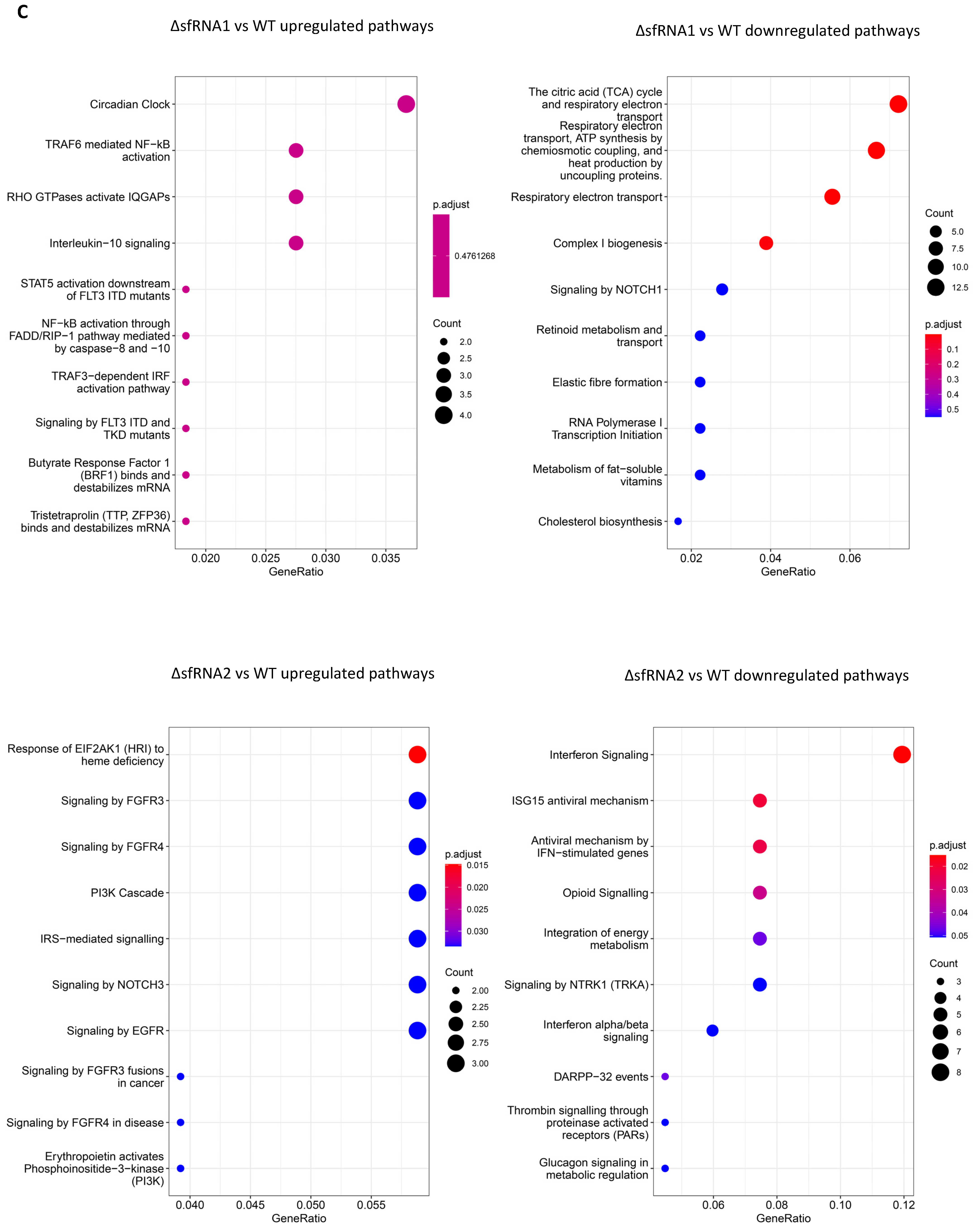 Viruses 16 00812 g003b