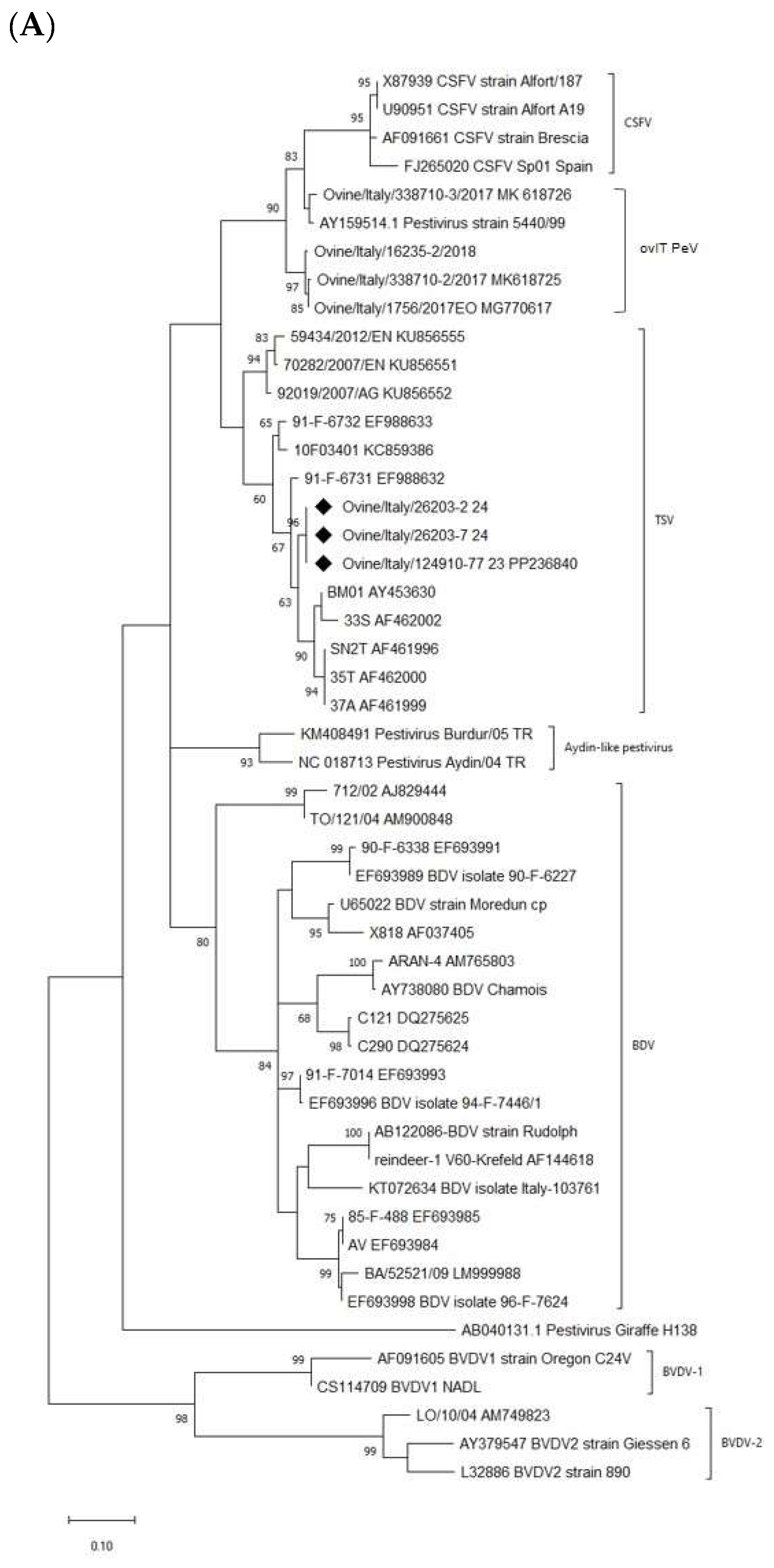Viruses 16 00815 g001a Viruses 16 00815 g001a