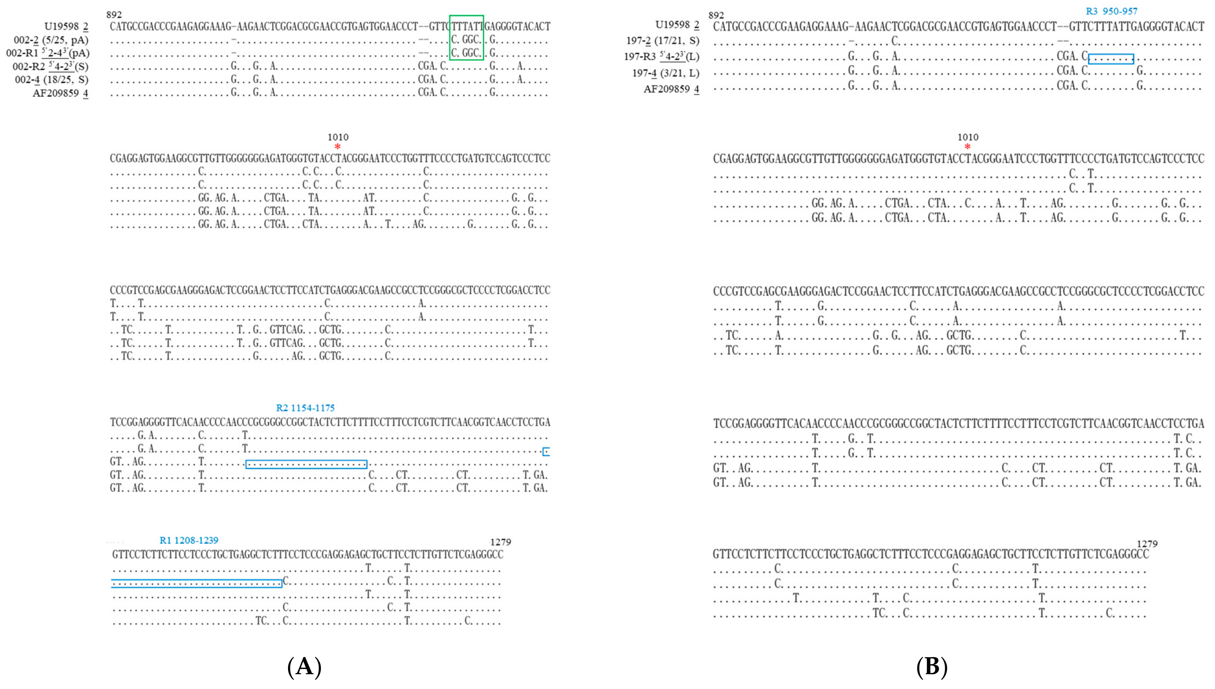 Viruses 16 00817 g002