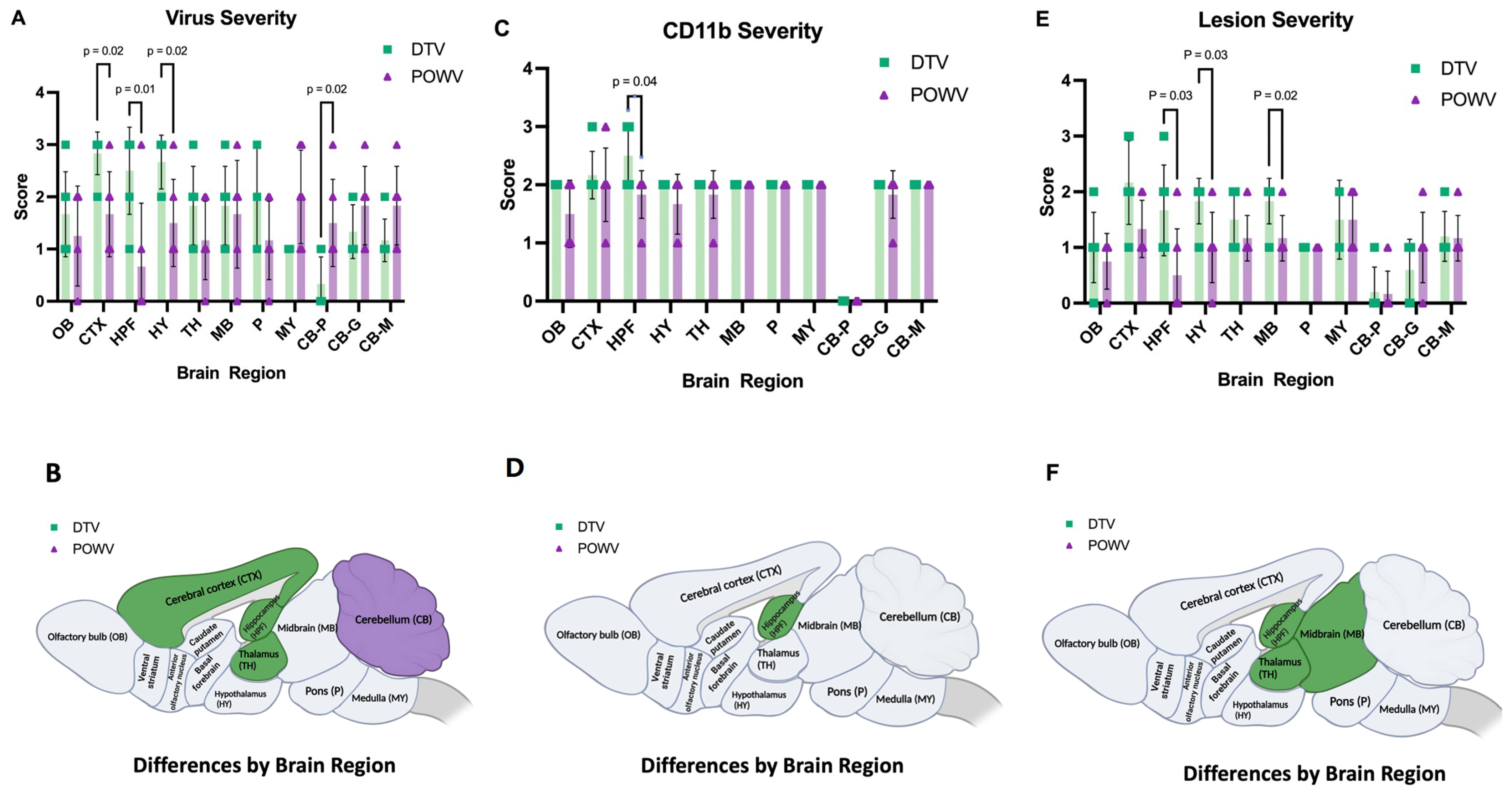 Viruses 16 00820 g003