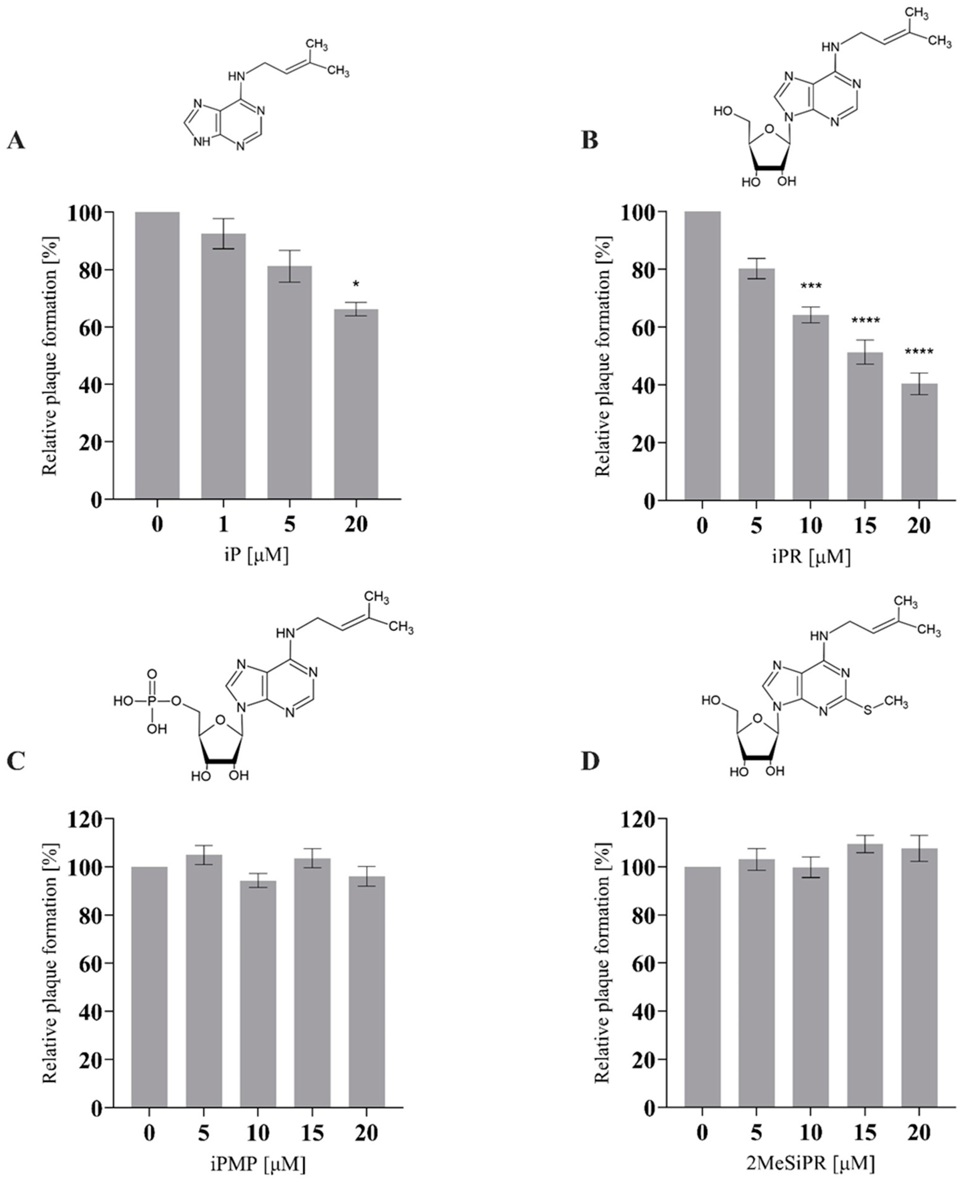 Viruses 16 00826 g002