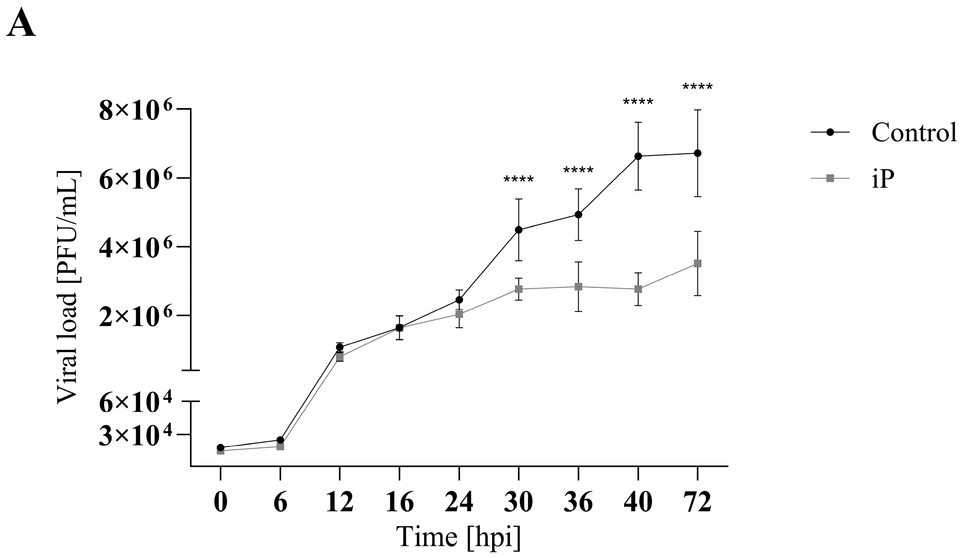 Viruses 16 00826 g004a