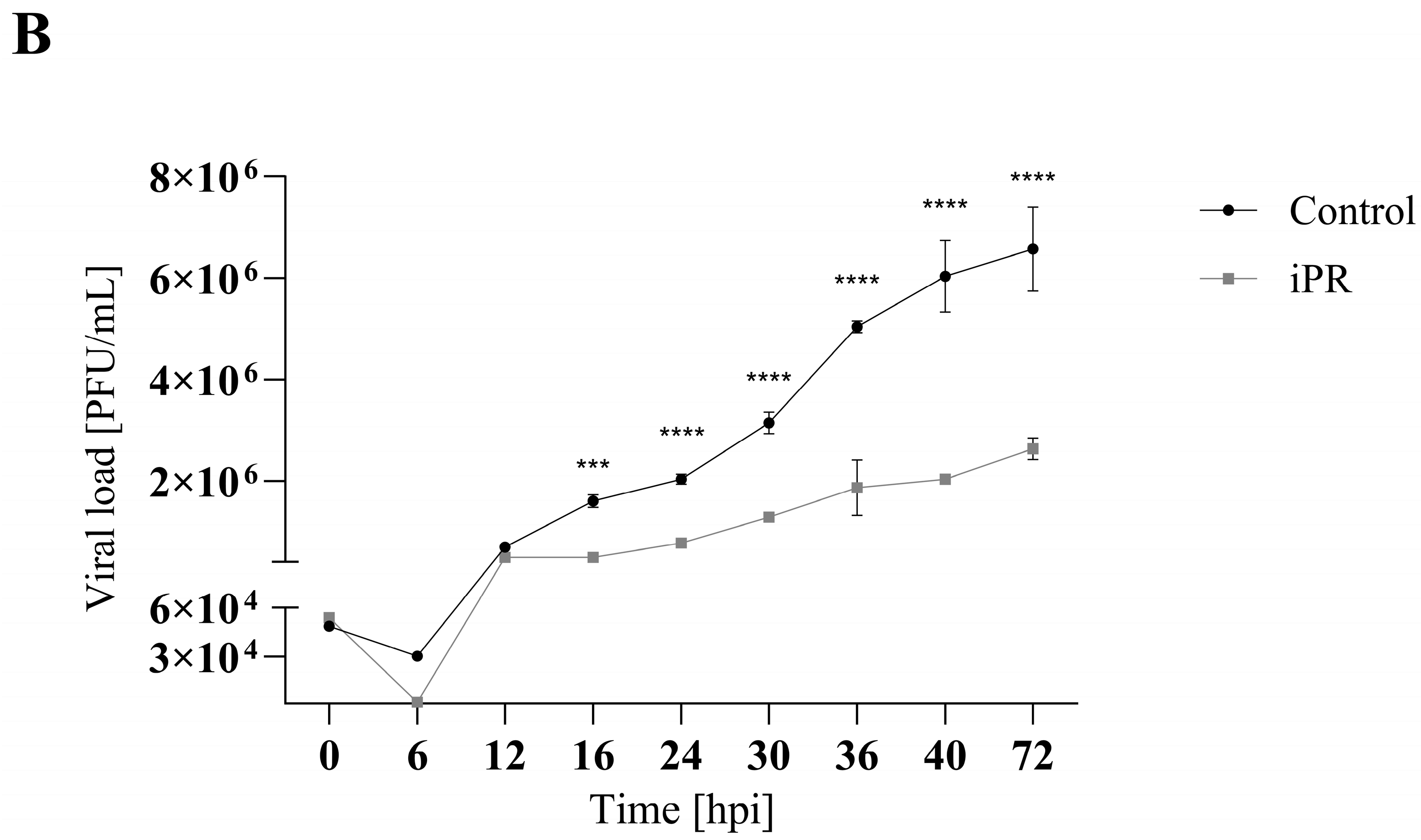 Viruses 16 00826 g004b