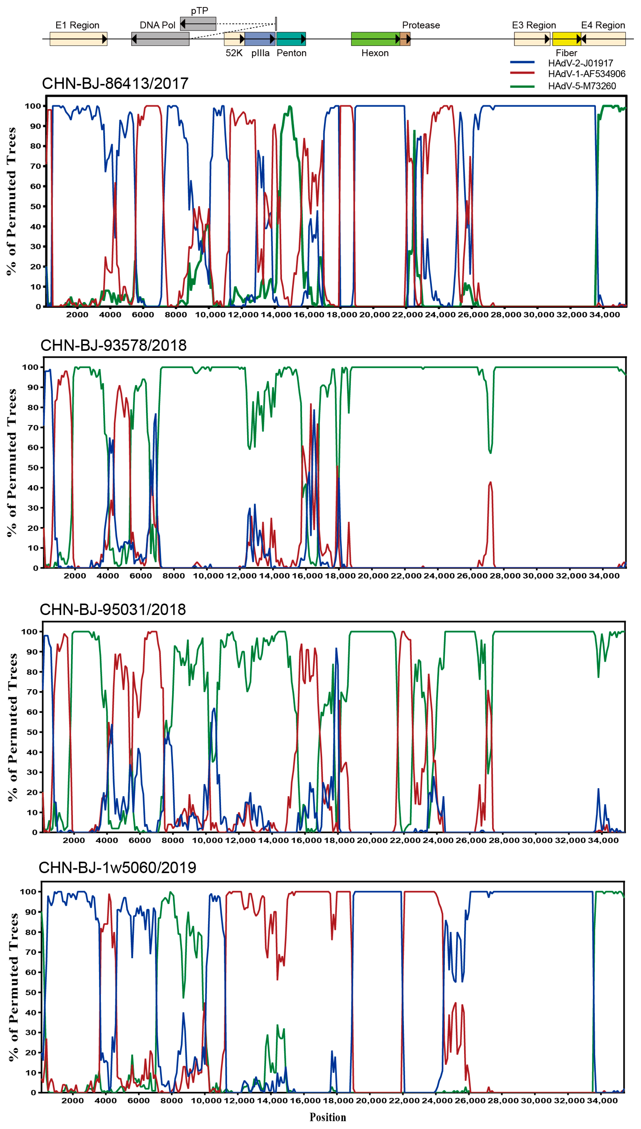 Viruses 16 00828 g005