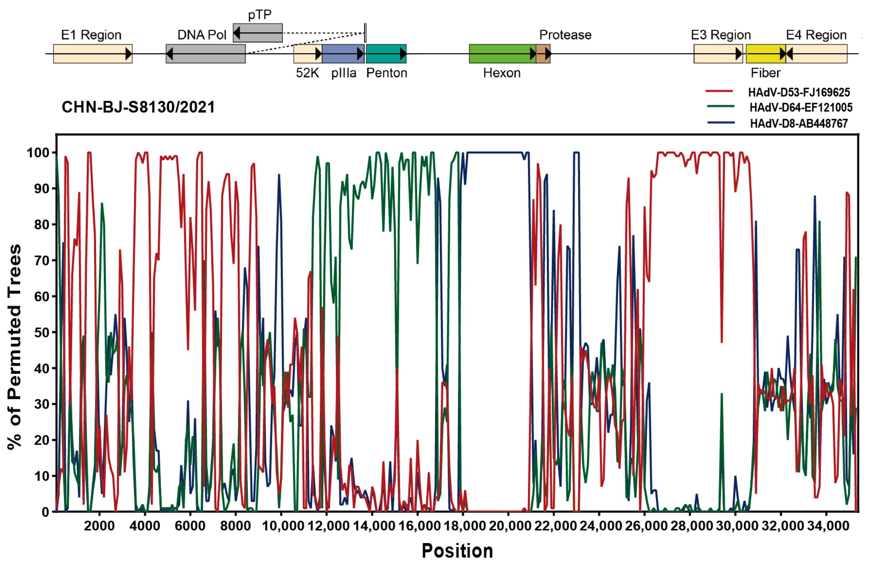 Viruses 16 00828 g007