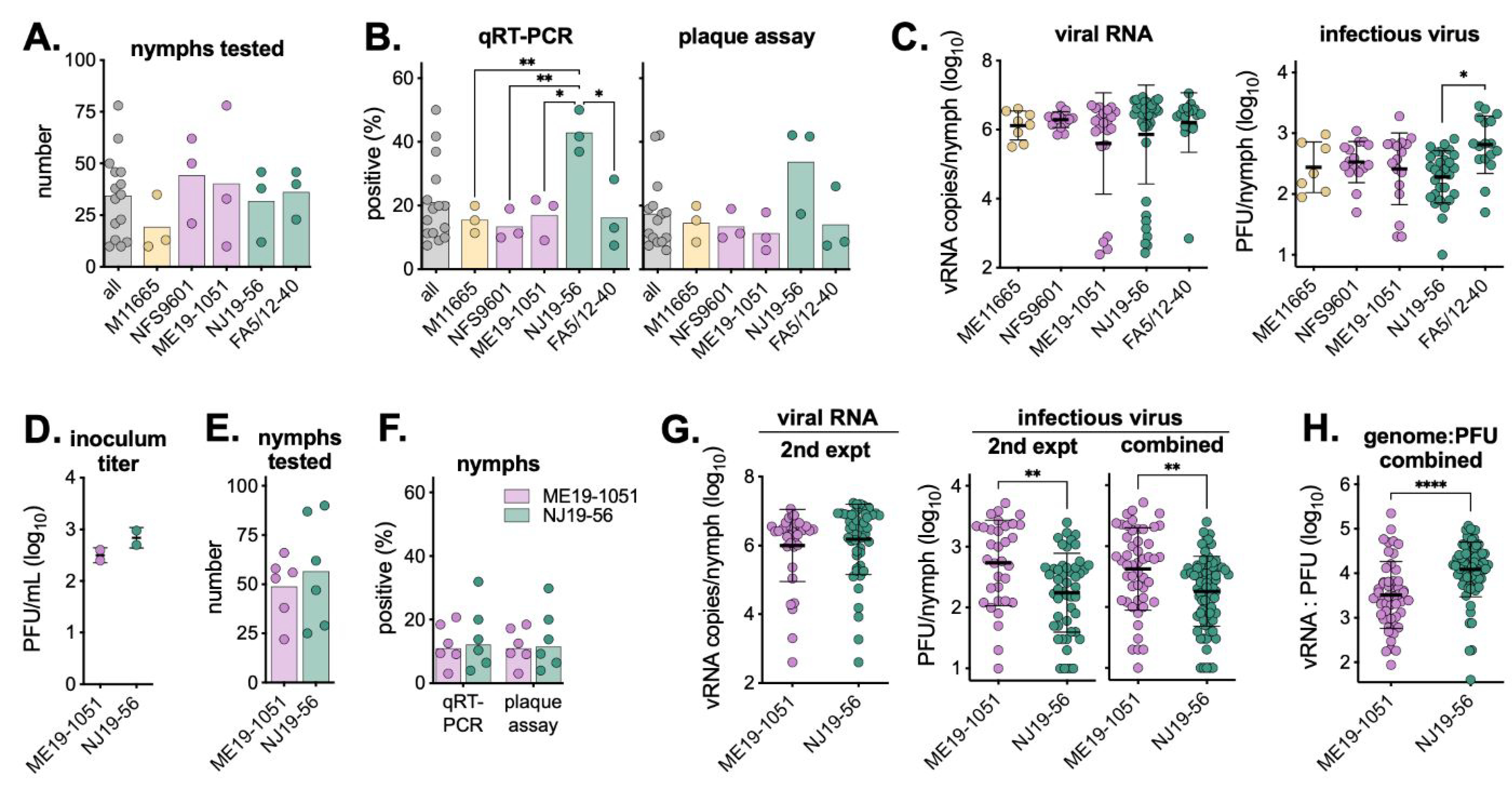 Viruses 16 00830 g003