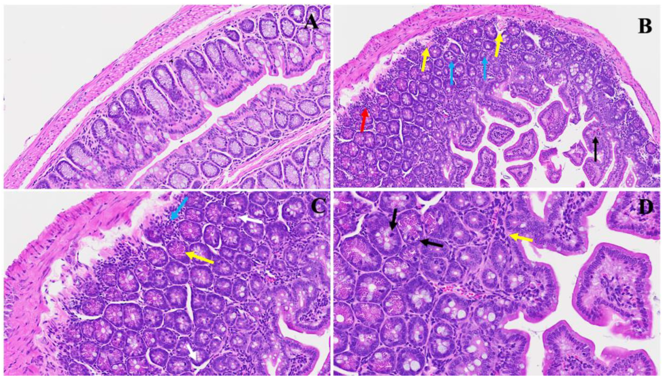 Viruses 16 00832 g007
