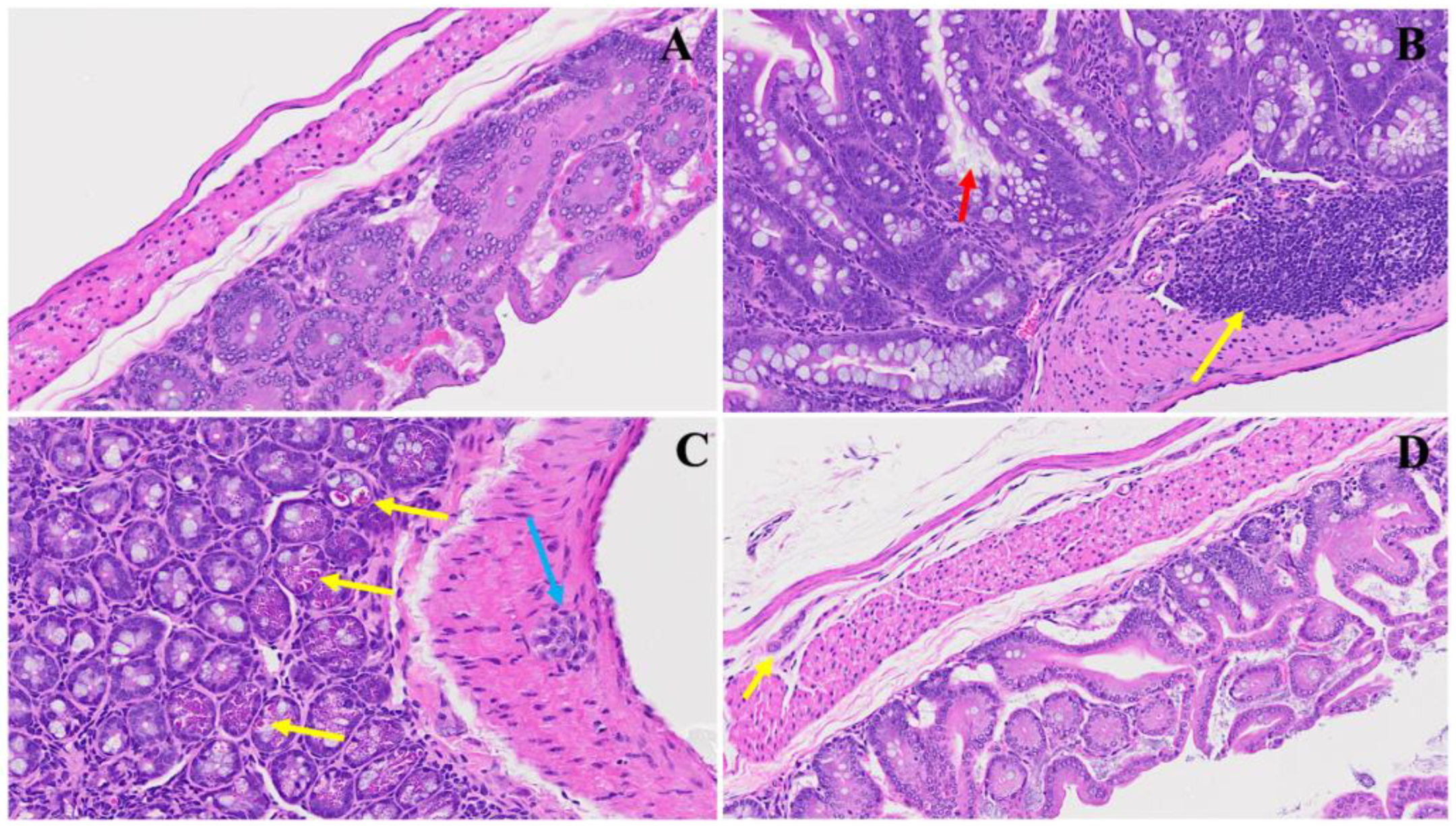 Viruses 16 00832 g008
