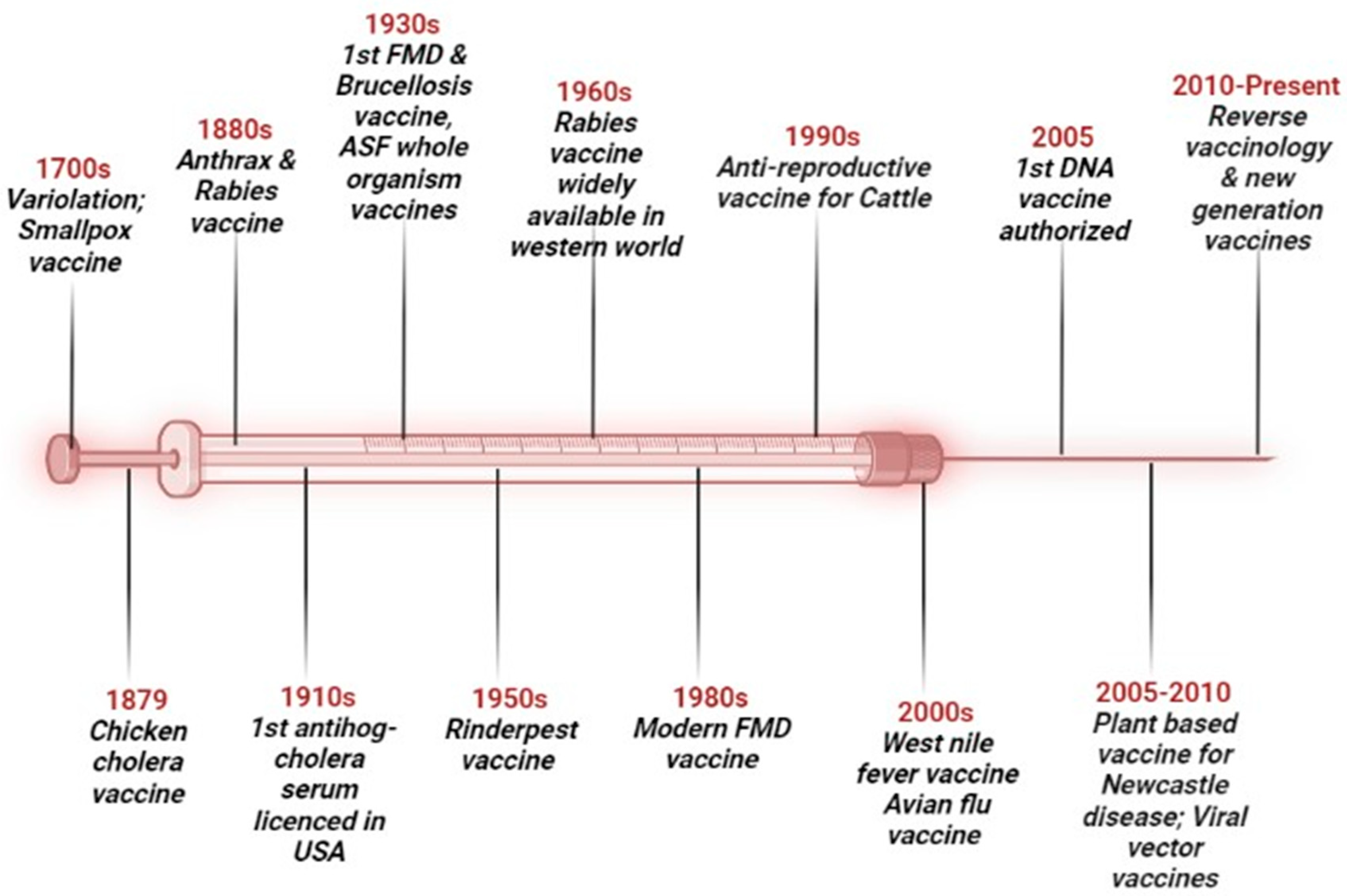 Viruses 16 00833 g001