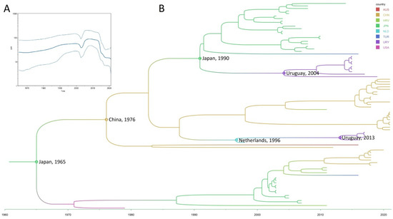 Detection and Genetic Characterization of Bovine Torovirus in Uruguay