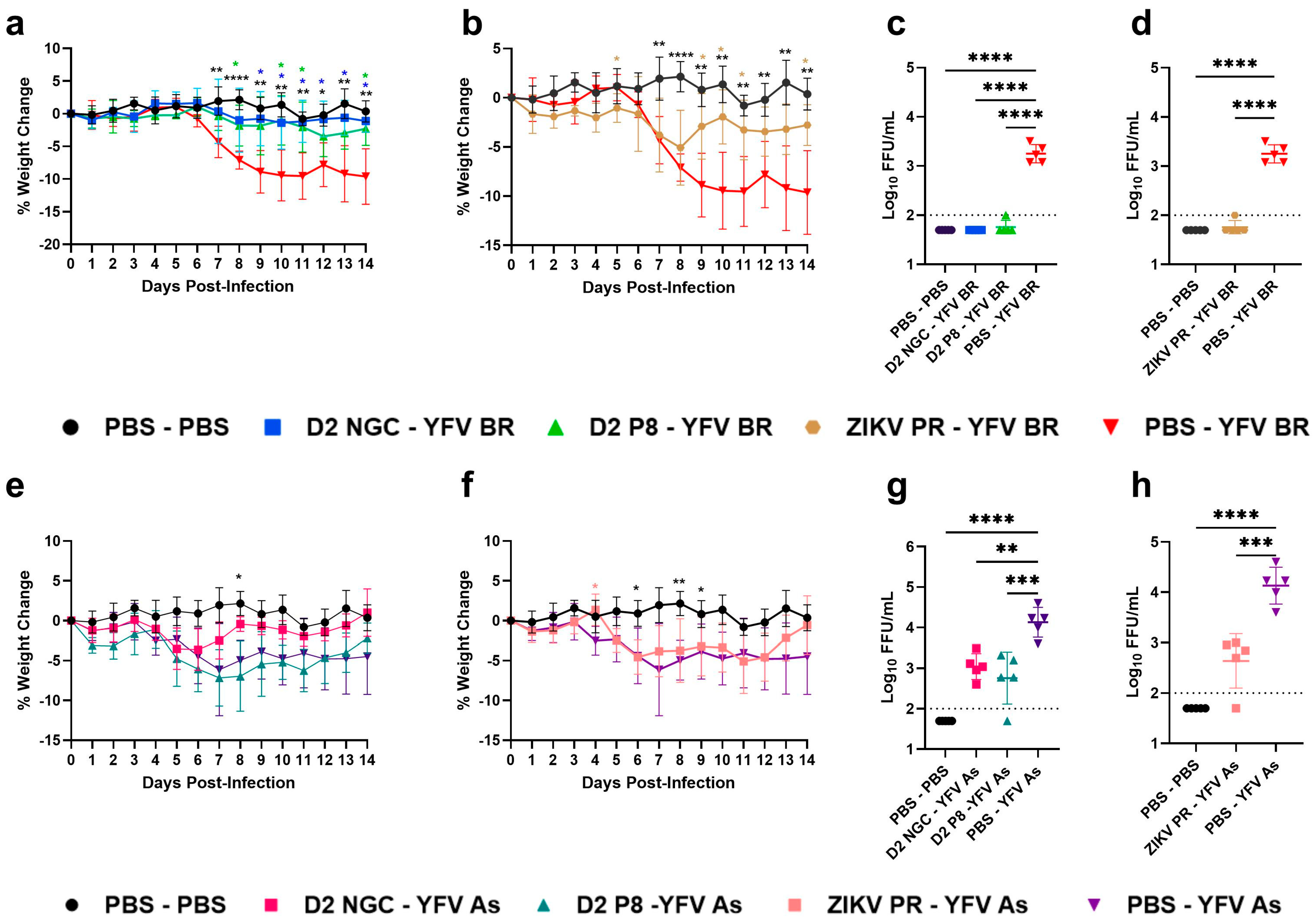 Viruses 16 00836 g004