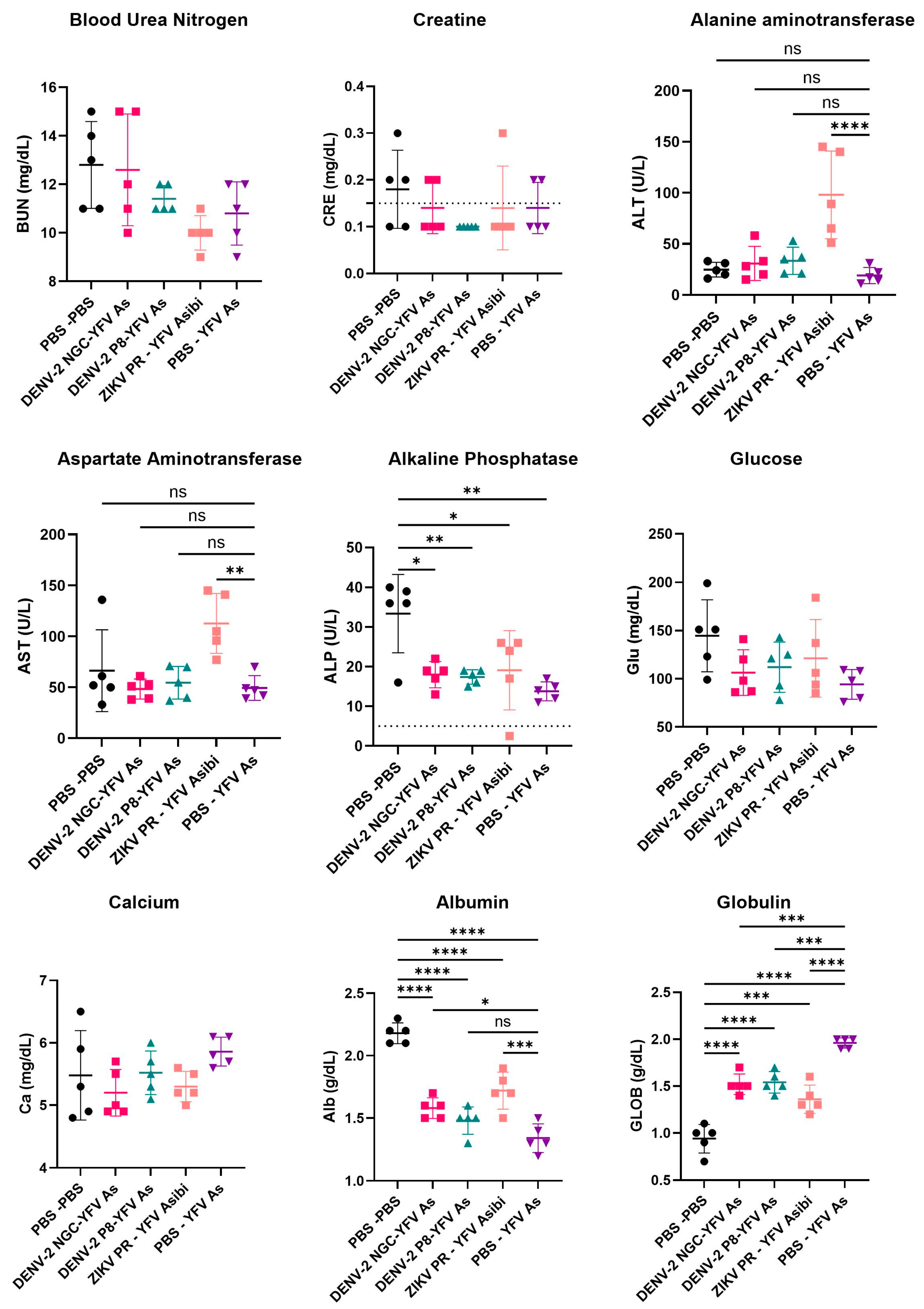 Viruses 16 00836 g007