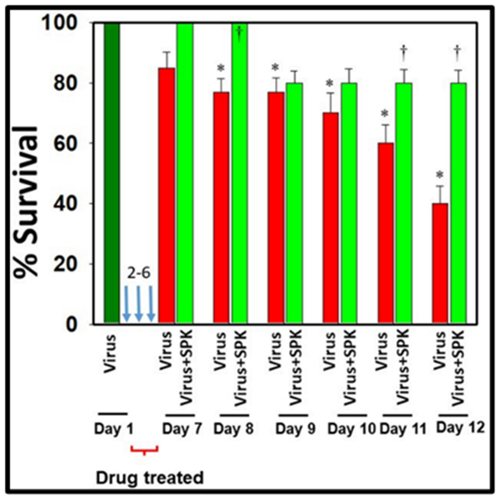 Viruses 16 00838 g007