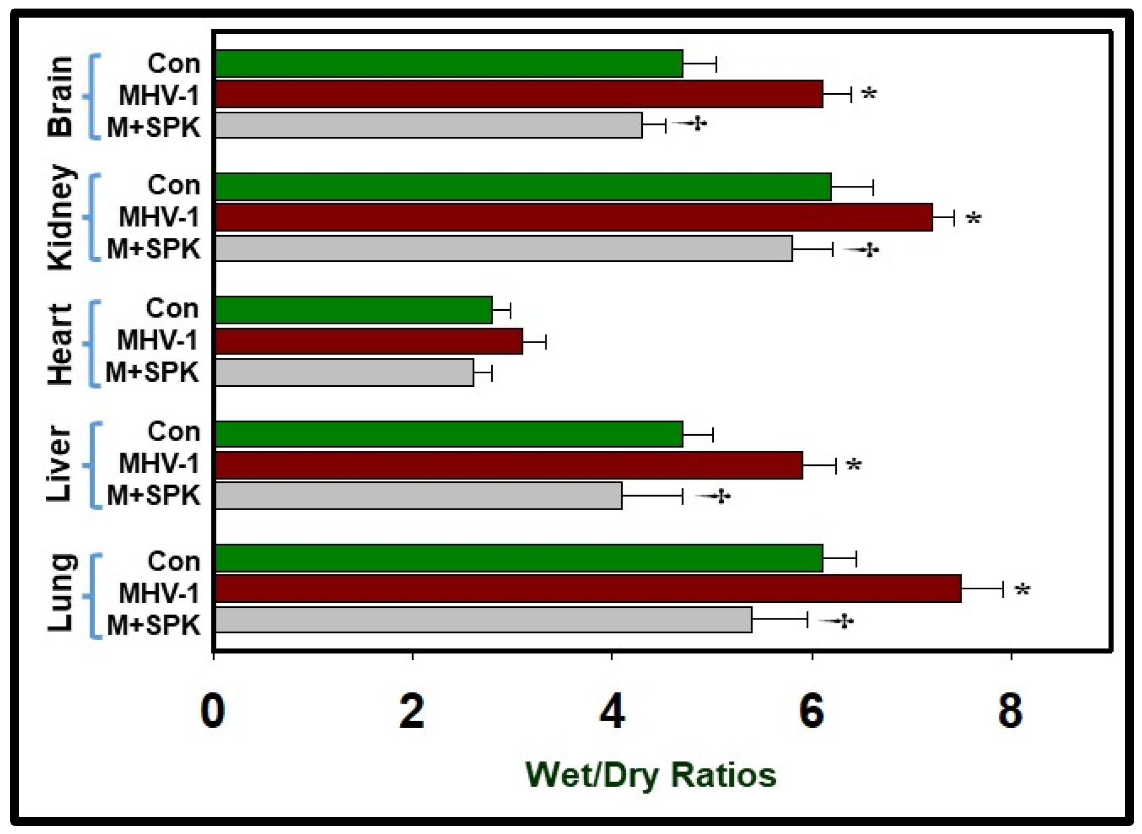 Viruses 16 00838 g008