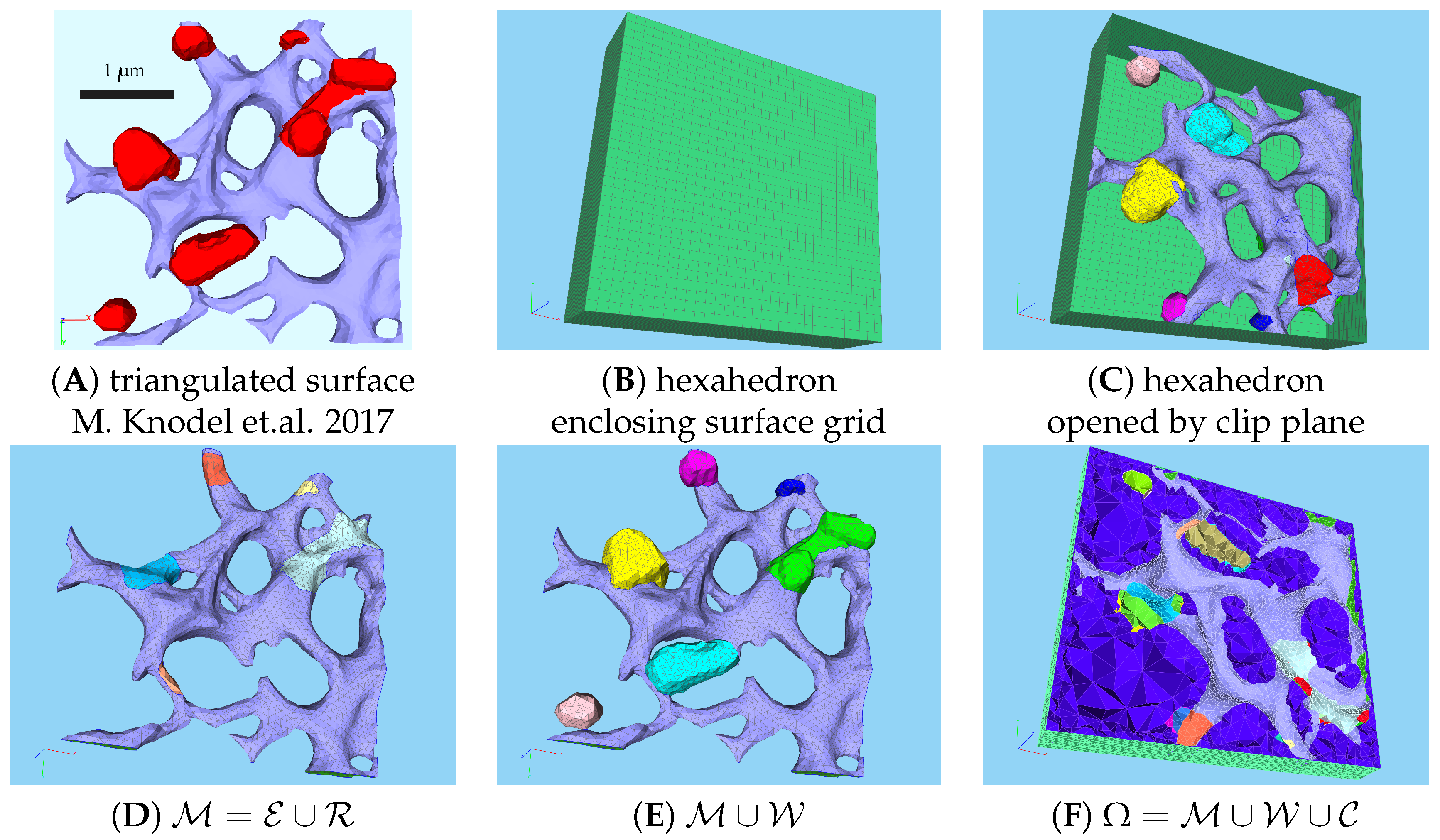 Viruses 16 00840 g001