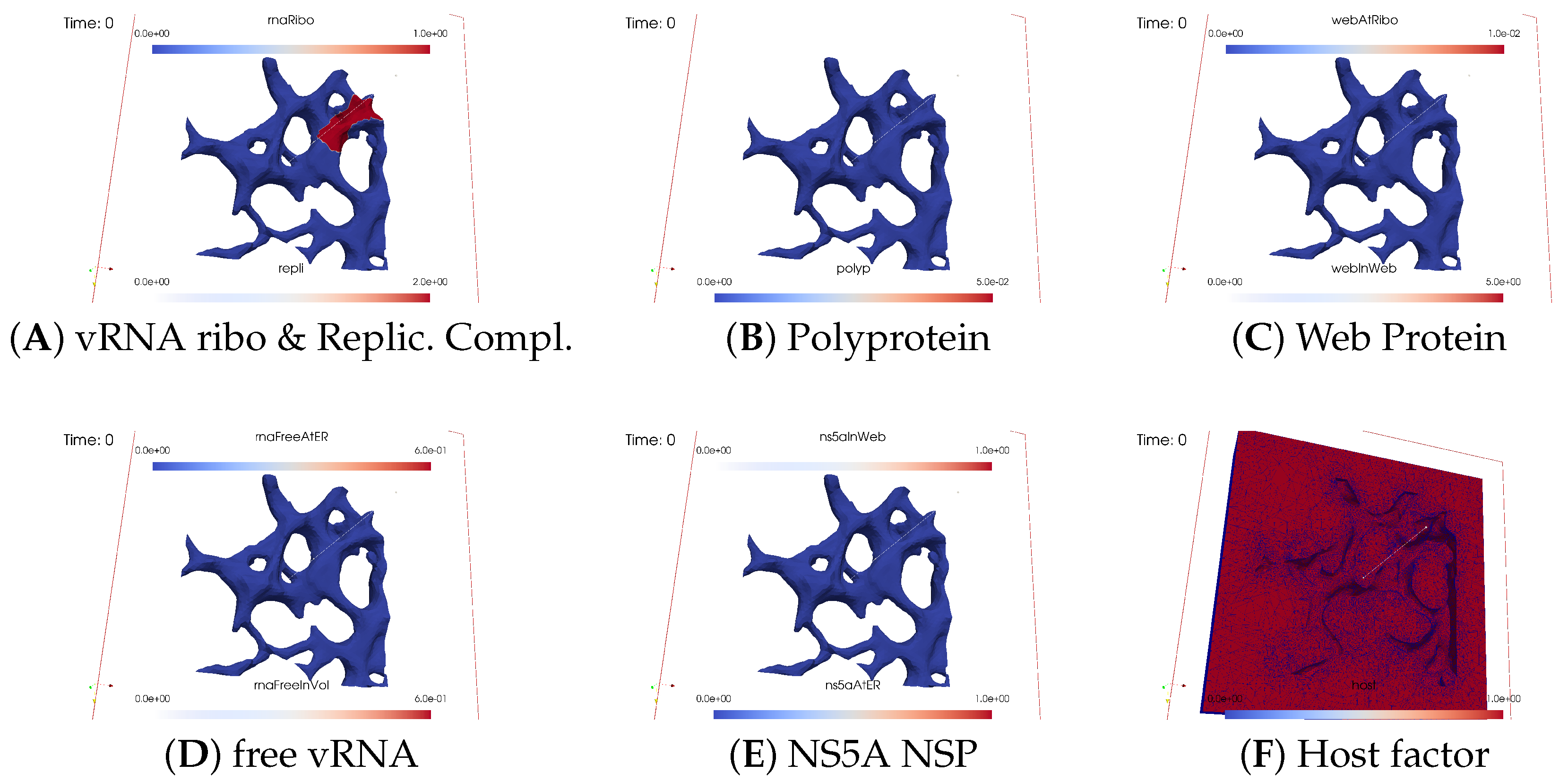 Viruses 16 00840 g003