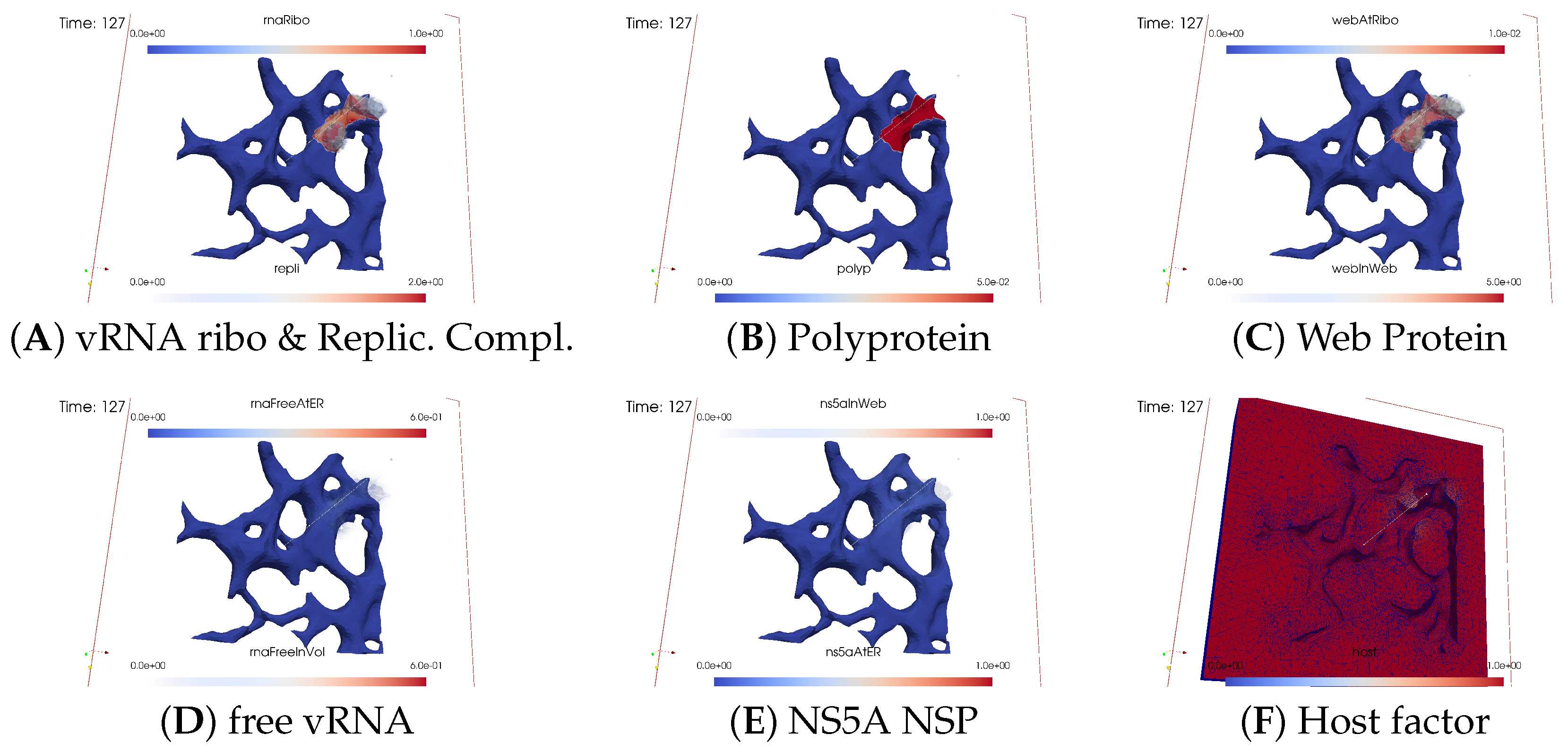 Viruses 16 00840 g004