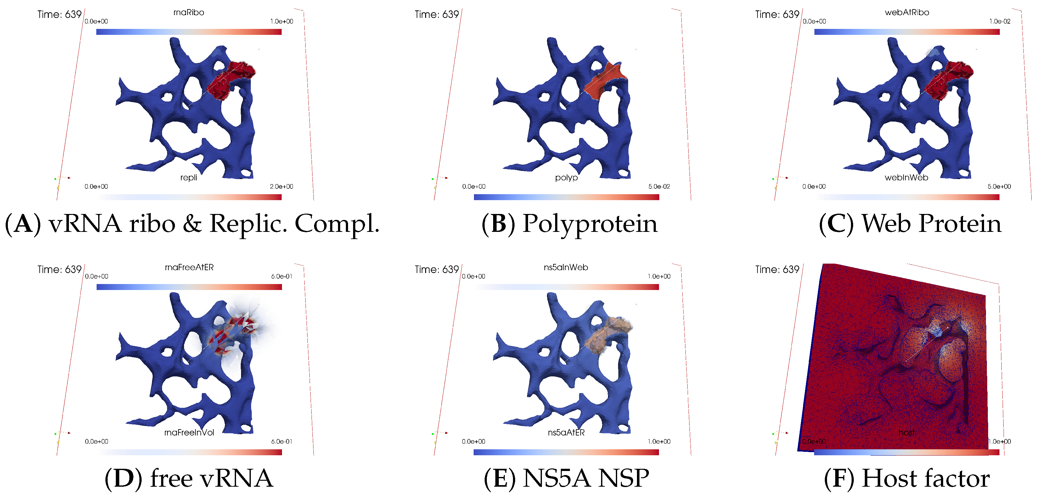 Viruses 16 00840 g005